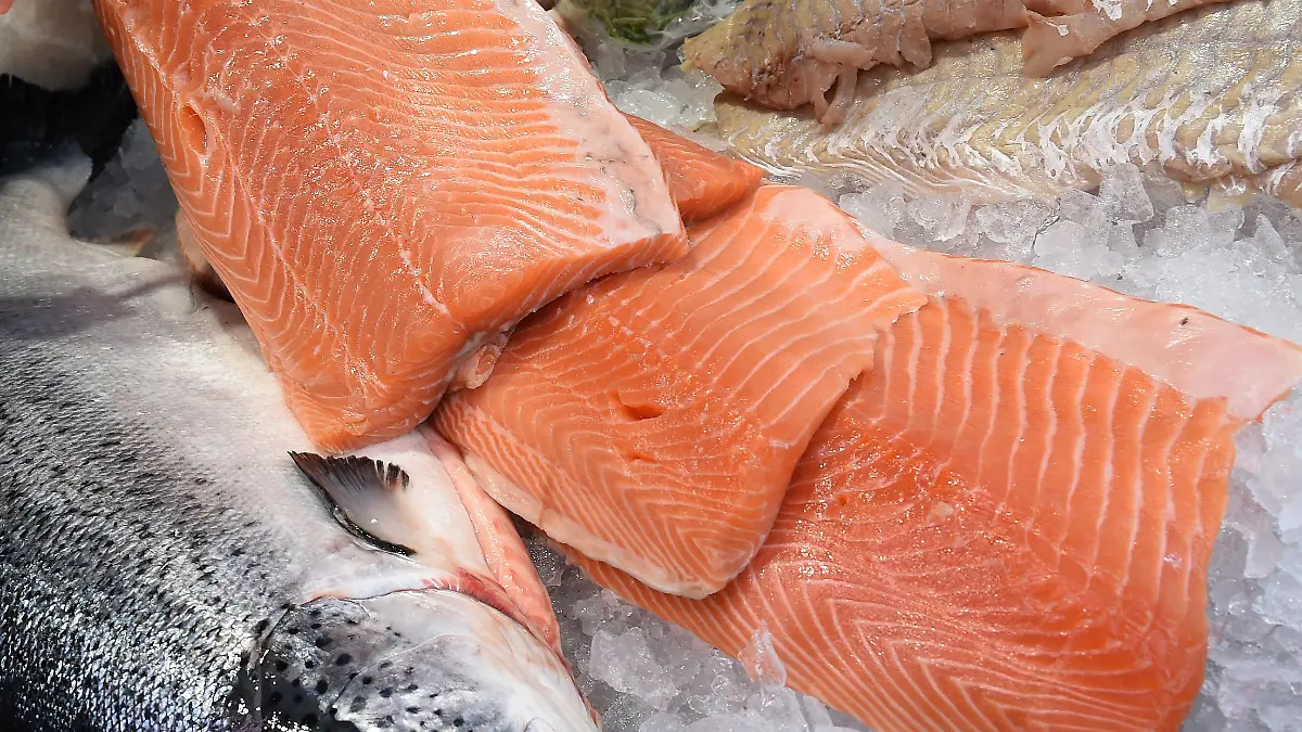 Guter Fisch muss nicht teuer sein Thunfisch und Lachs im Test