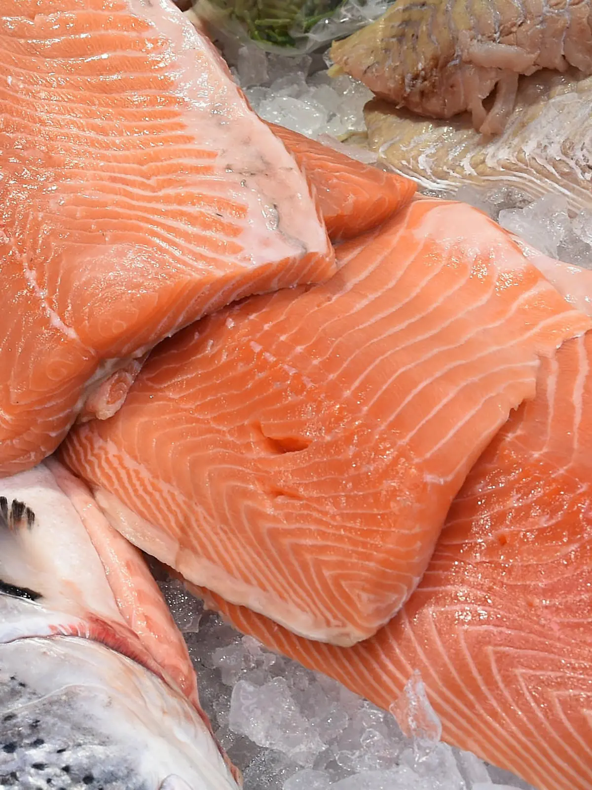 Bild zu: "Guter Fisch muss nicht teuer sein"