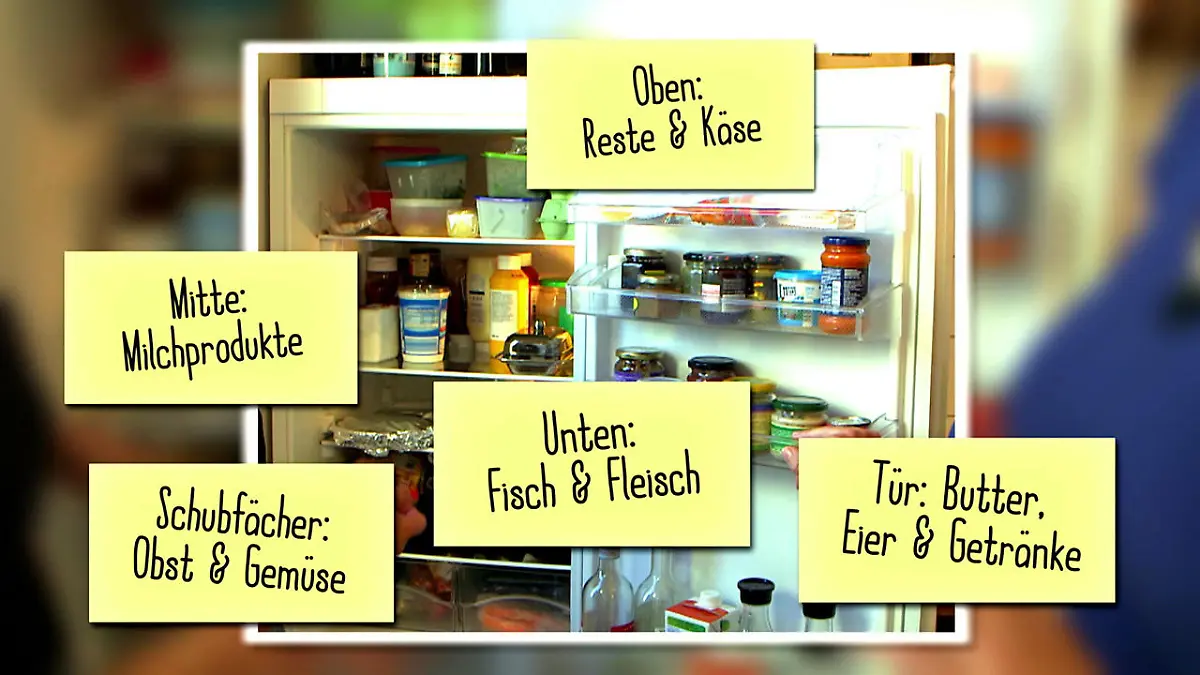Wie lange ist zubereitetes Essen haltbar? Zu viel gekocht, zu wenig gegessen