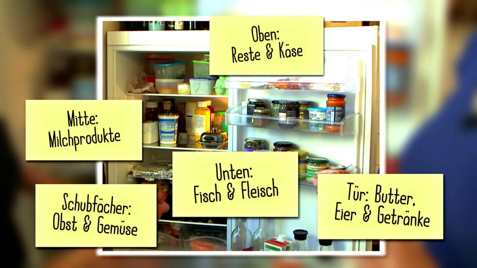 Wie lange ist zubereitetes Essen haltbar? Zu viel gekocht, zu wenig gegessen