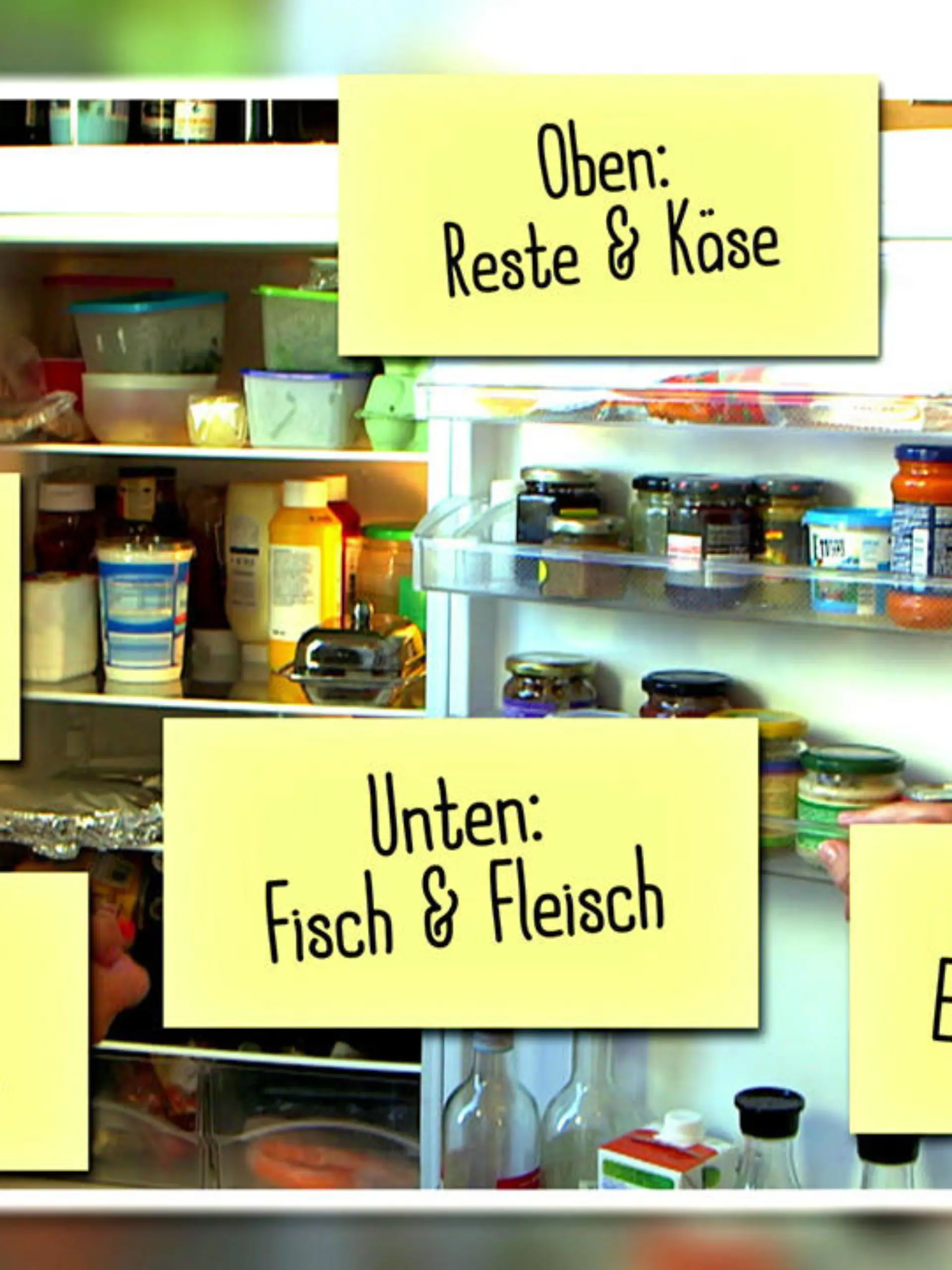 Bild zu: "Wie lange ist zubereitetes Essen haltbar?"