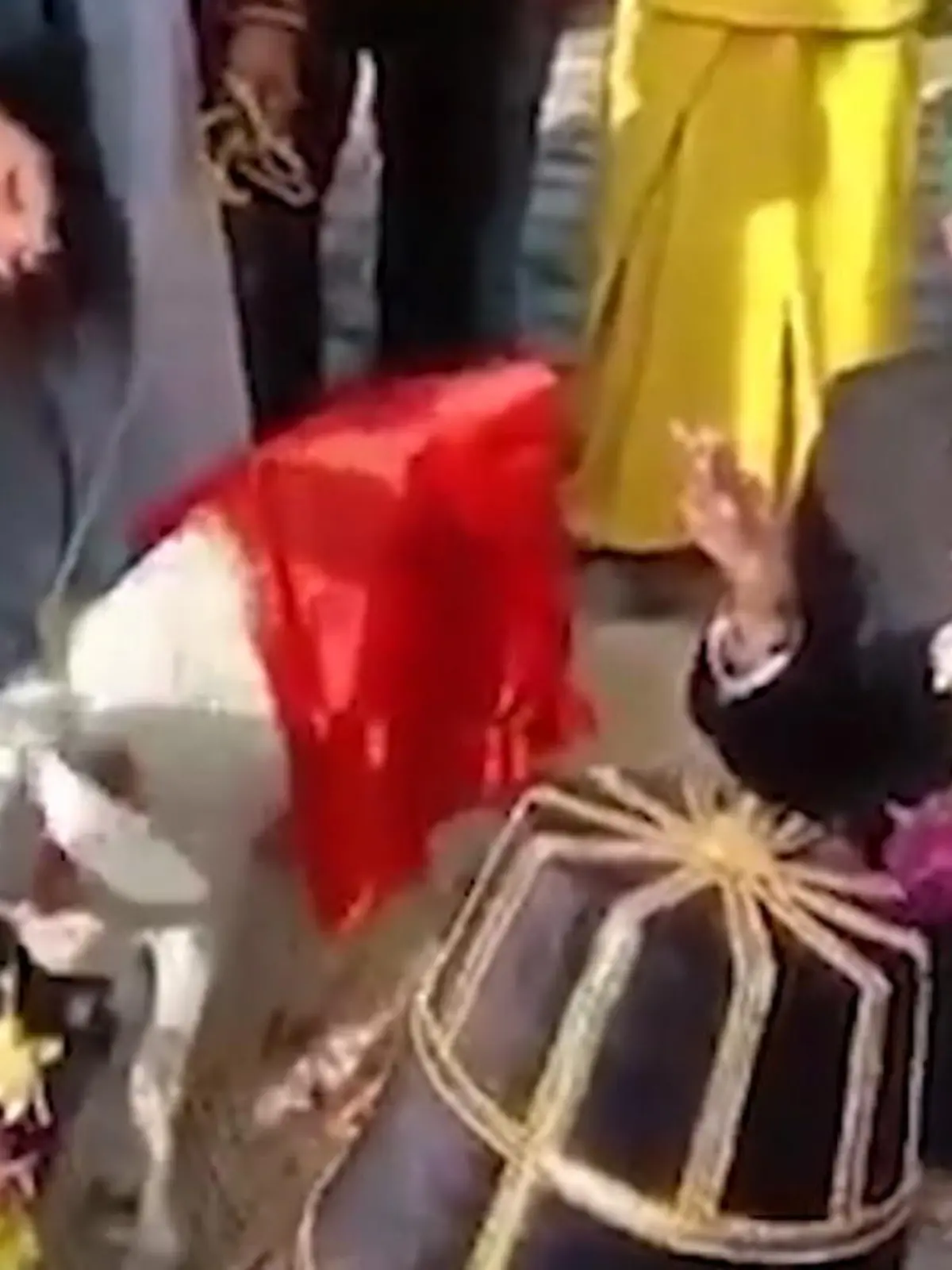 Hiermit erkläre ich Sie zu Mann und Ziege! In Indonesien kam es zu einer doch recht ungewöhnlichen Hochzeit. Ein Mann hat seine Ziege geheiratet. Doch statt auf Weide Sieben zu schweben, prangerten religiöse Anhänger diese Heirat an. Das Hochzeitspaar und wie die Geschichte ausgegangen ist, zeigen wir im Video.
