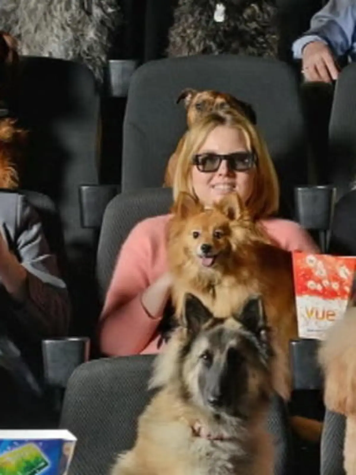 Bild zu: "Hunde dürfen mit ins Kino"