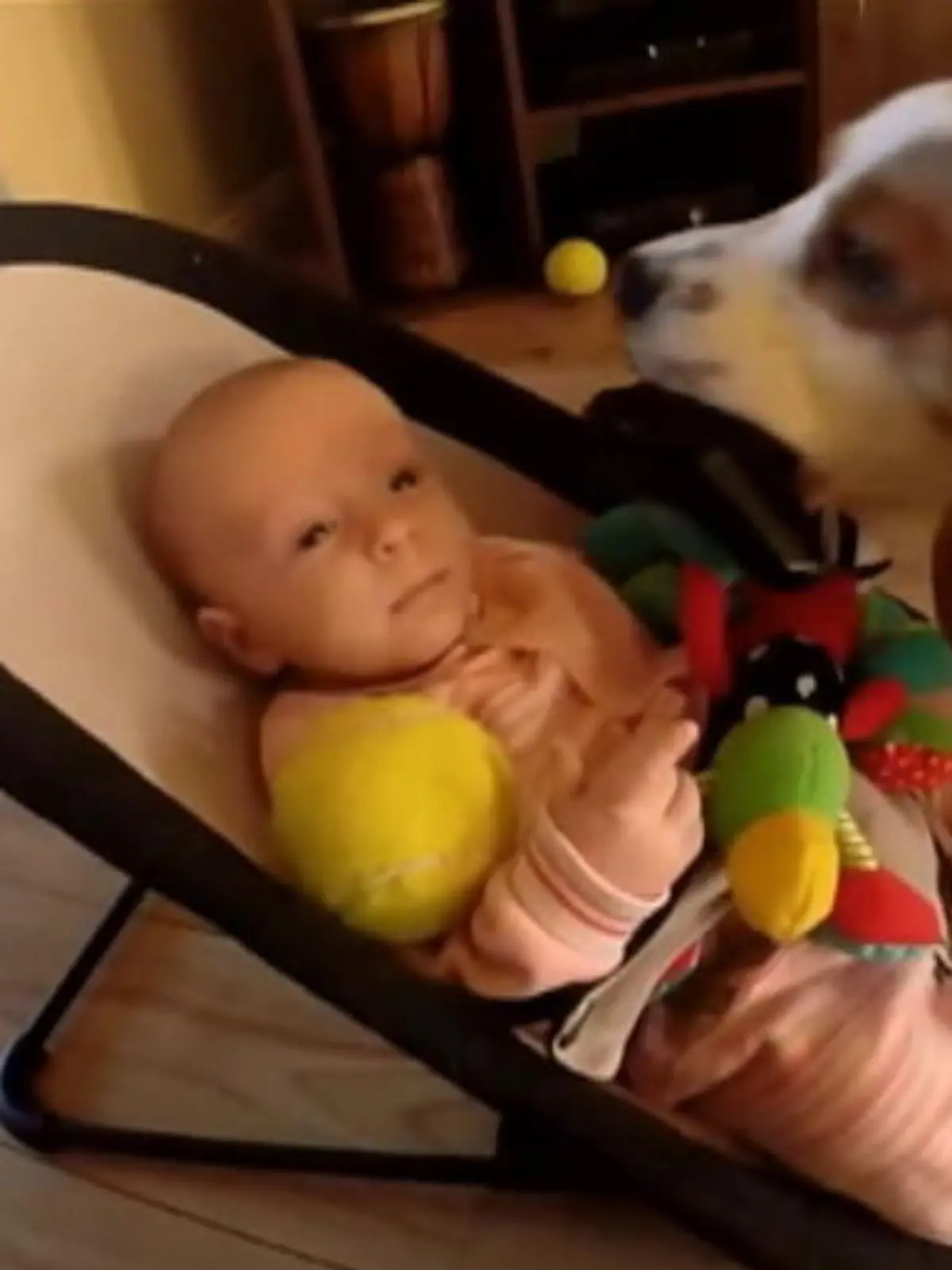 Bild zu: "Hund ueberhaeuft weinendes Baby mit Spielzeug"