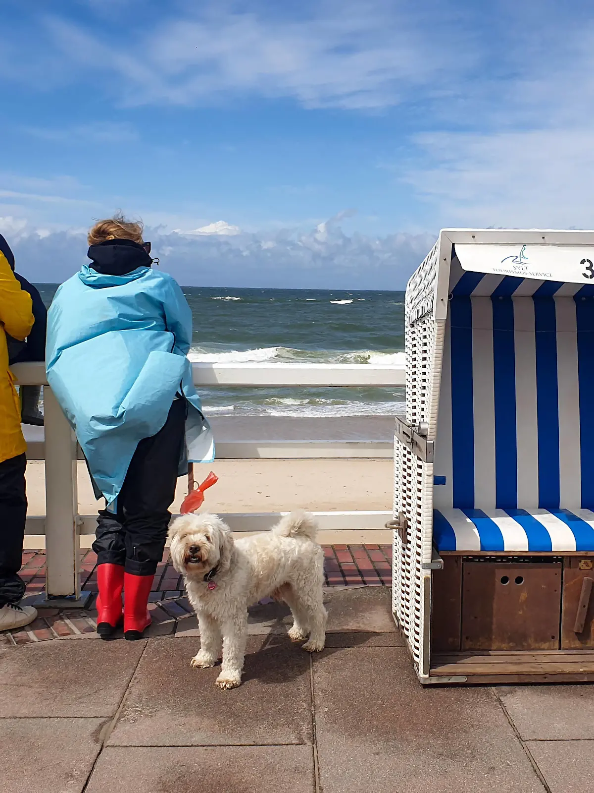  Brandenburger Strand in Westerland auf der Insel Sylt an der Nordsee in Schleswig-Holstein, Deutschland -Brandenburger Strand in Westerland auf der Insel Sylt an der Nordsee in Schleswig-Holstein, Deutschland -, Sylt Schleswig-Holstein Deutschland Westerland *** Brandenburg Beach in Westerland on the island of Sylt at the North Sea in Schleswig Holstein, Germany Brandenburg Beach in Westerland on the island of Sylt at the North Sea in Schleswig Holstein, Germany , Sylt Schleswig Holstein Germany Westerland