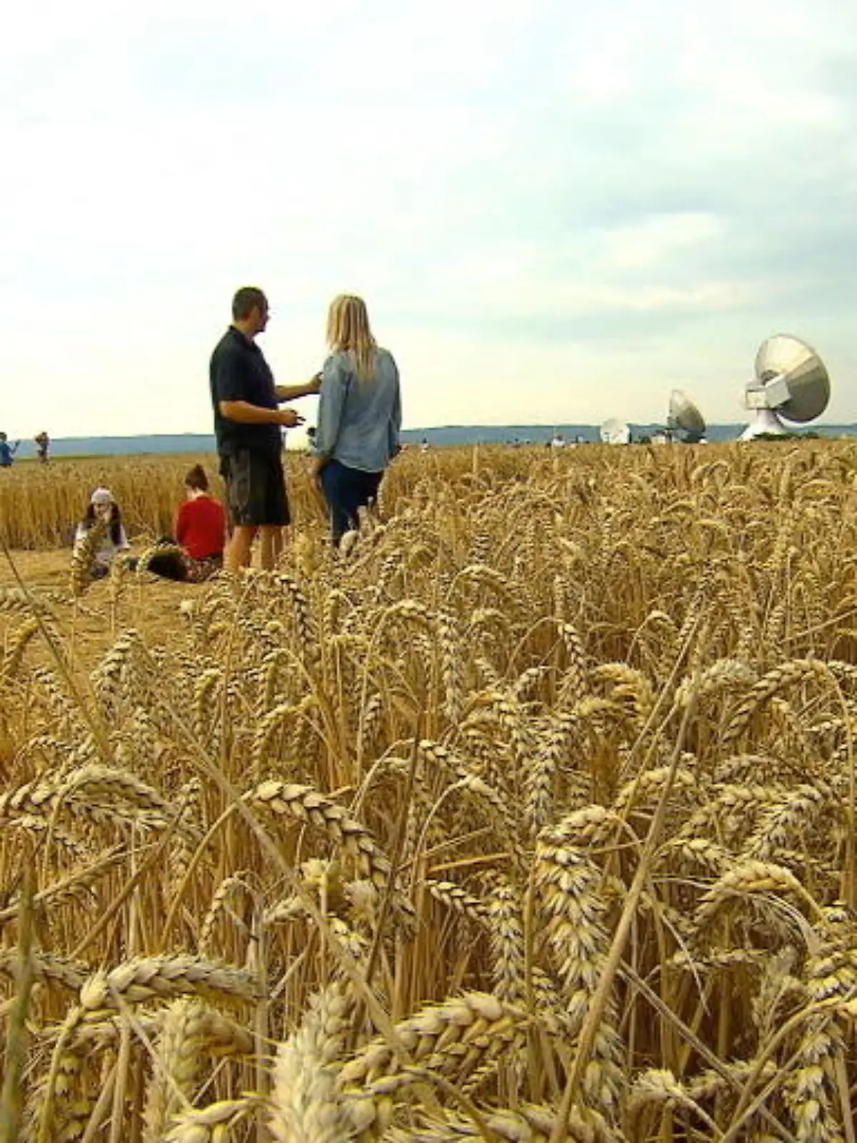 Bild zu: "Mysteriöse Kornkreise ziehen Pilger aus ganz Europa an"