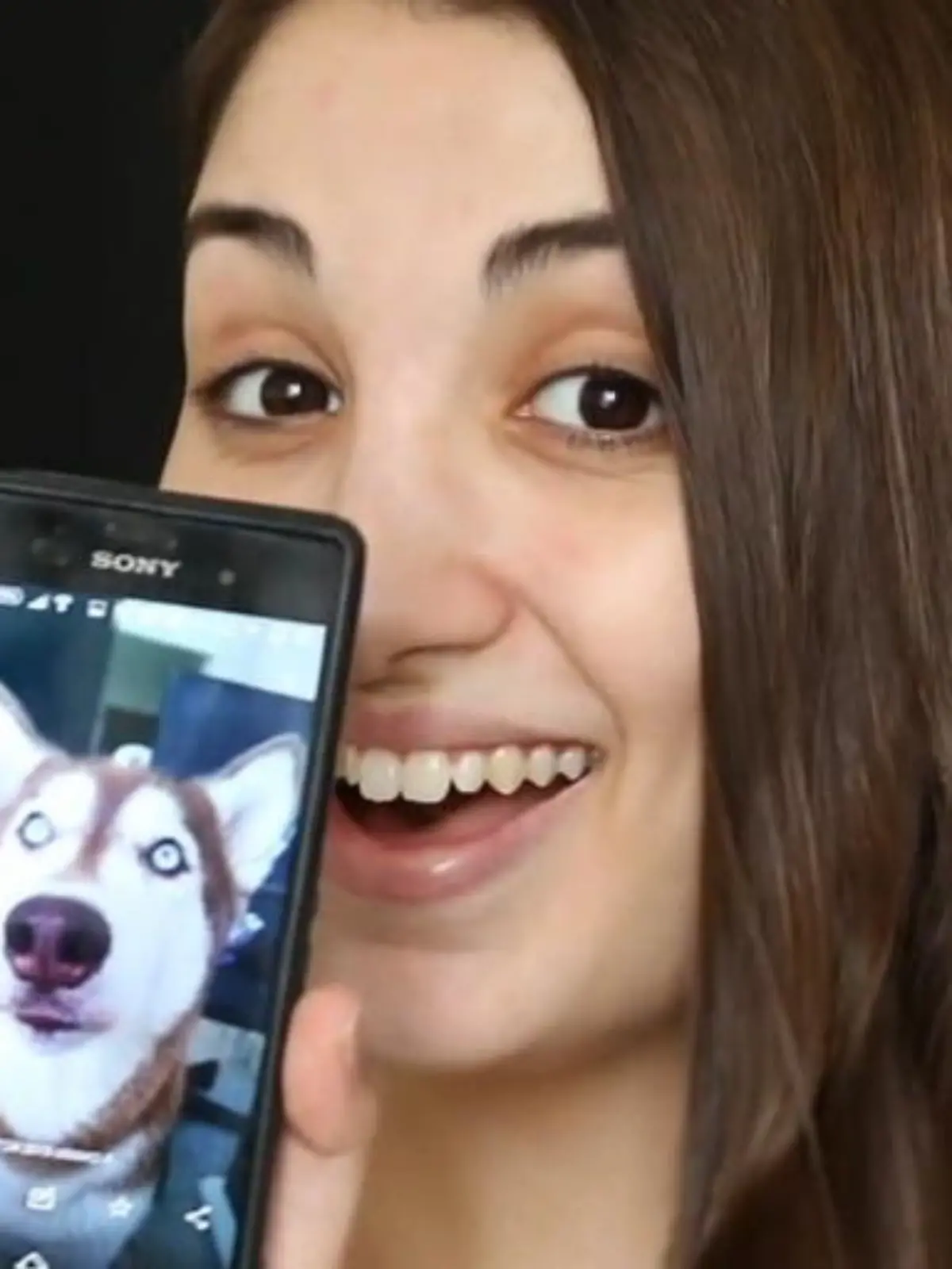 Bild zu: "Frau schminkt sich Husky-Gesicht"