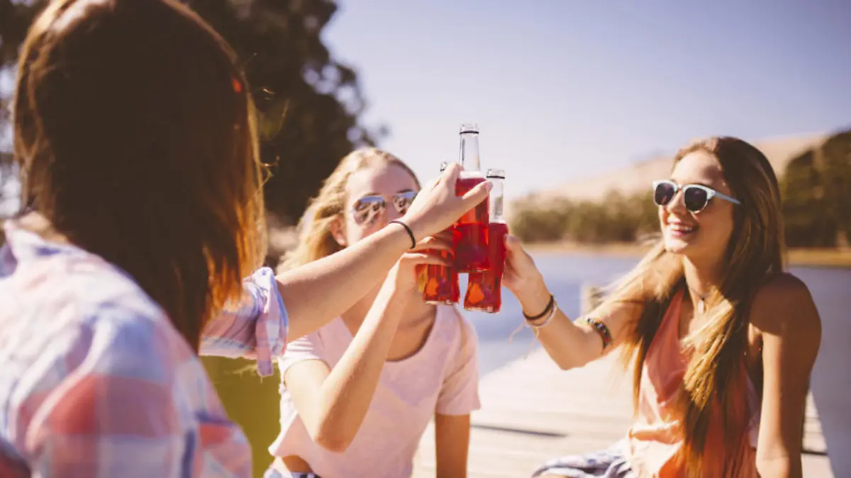 So leicht kommen Jugendliche im Netz an Schnaps Alkohol im Online-Shop