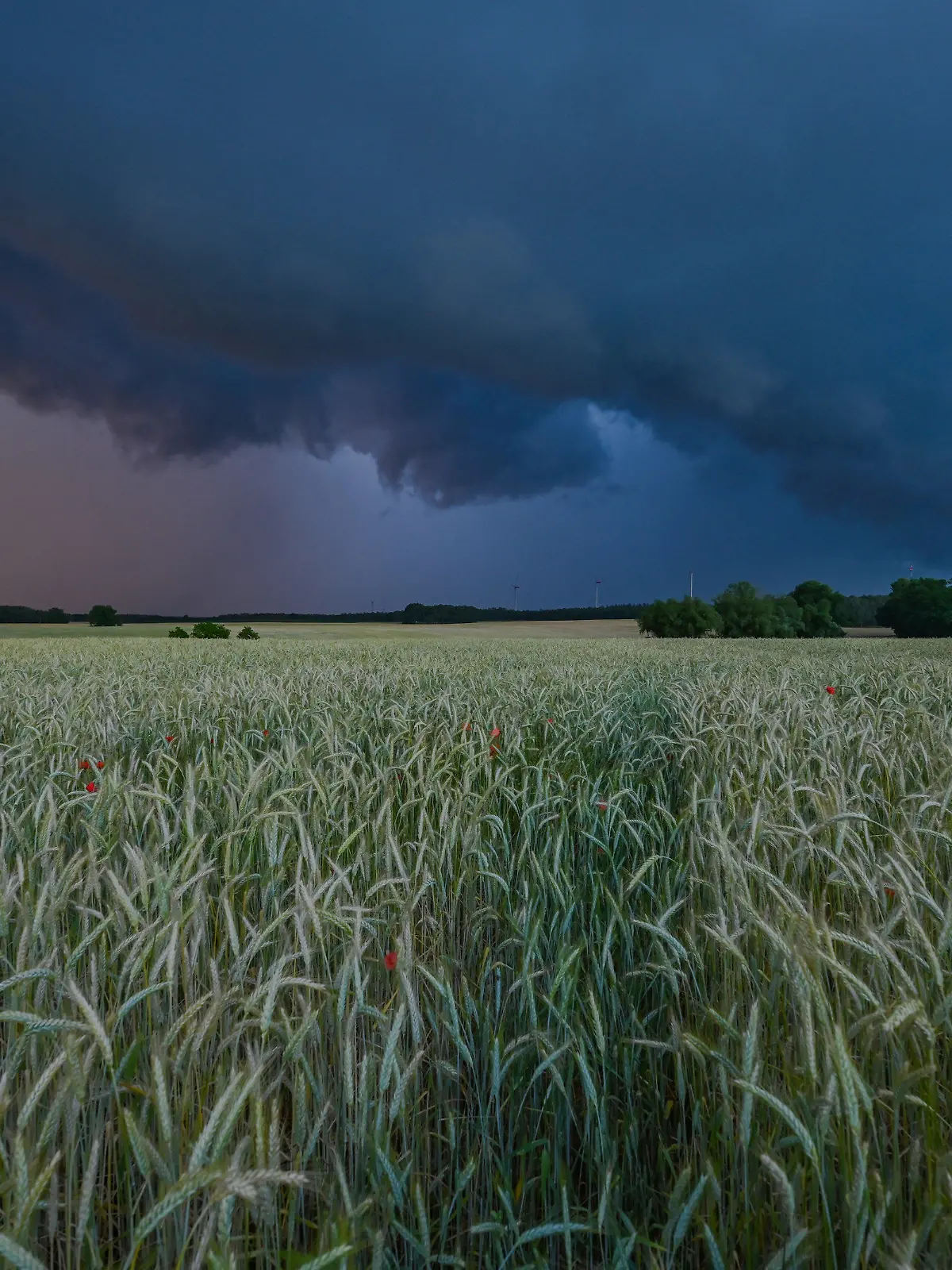 20.06.2022, Brandenburg, Sieversdorf: Am späten Abend zieht eine Gewitterzelle mit dunklen Regenwolken über die Landschaft. Foto: Patrick Pleul/dpa +++ dpa-Bildfunk +++