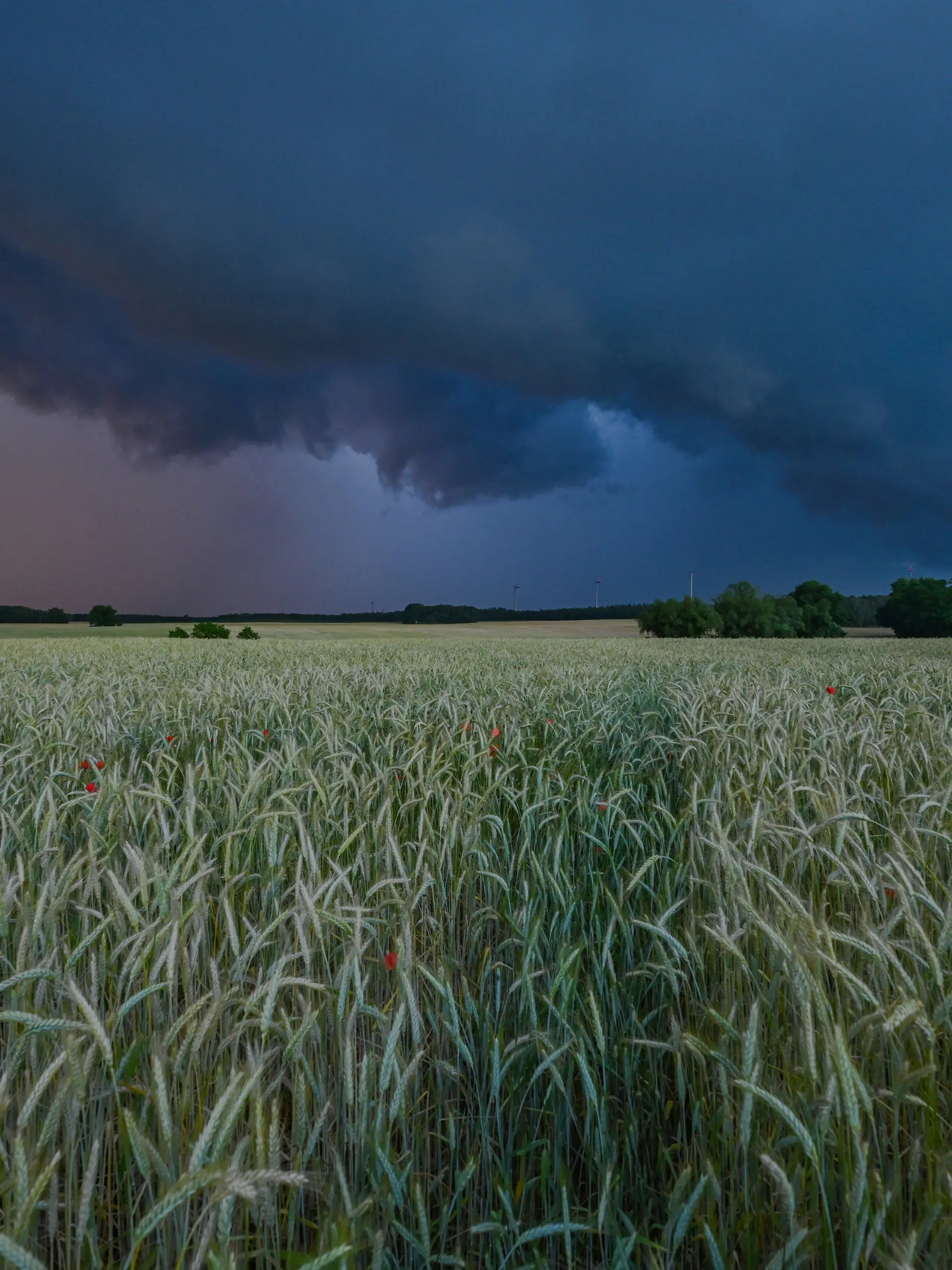 20.06.2022, Brandenburg, Sieversdorf: Am späten Abend zieht eine Gewitterzelle mit dunklen Regenwolken über die Landschaft. Foto: Patrick Pleul/dpa +++ dpa-Bildfunk +++