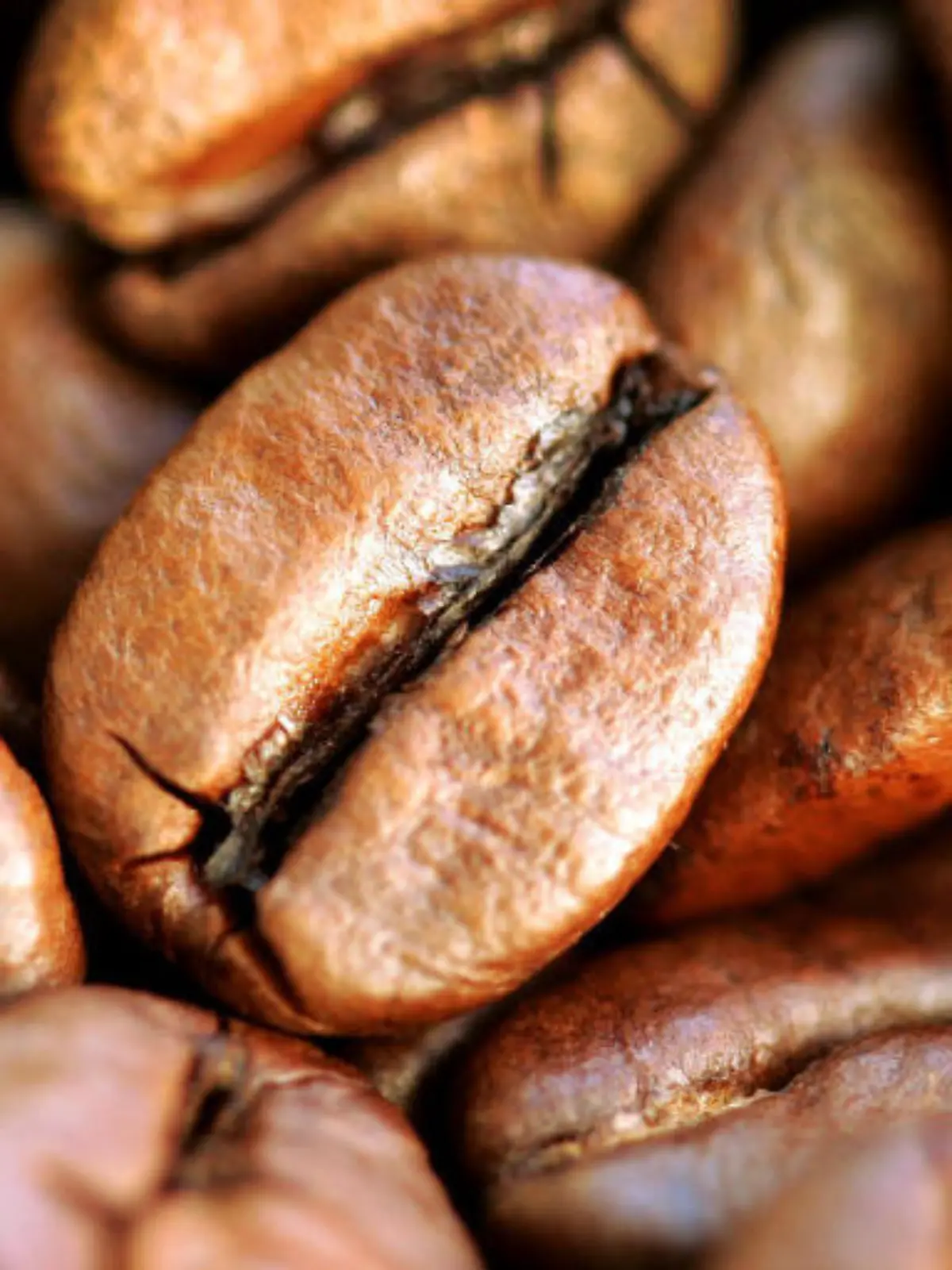 Bild zu: "Kaffeetrinker leben länger"