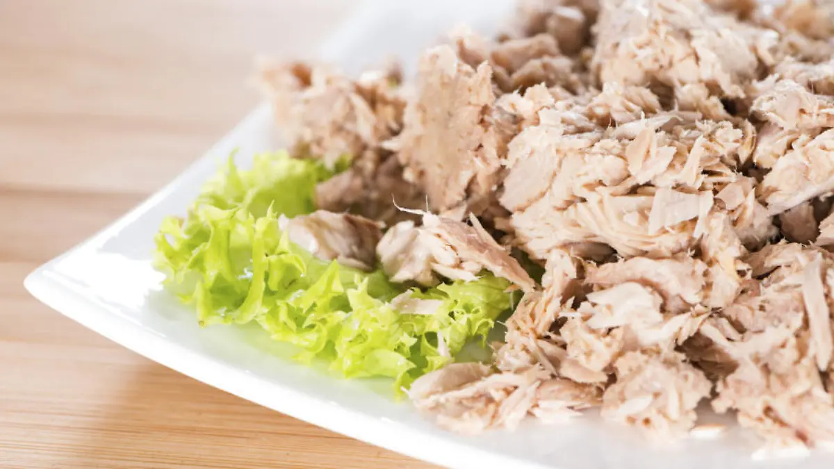Fettreiche Fische verbessern Schlaf Tiefer Schlaf durch Aal, Hering und Thunfisch