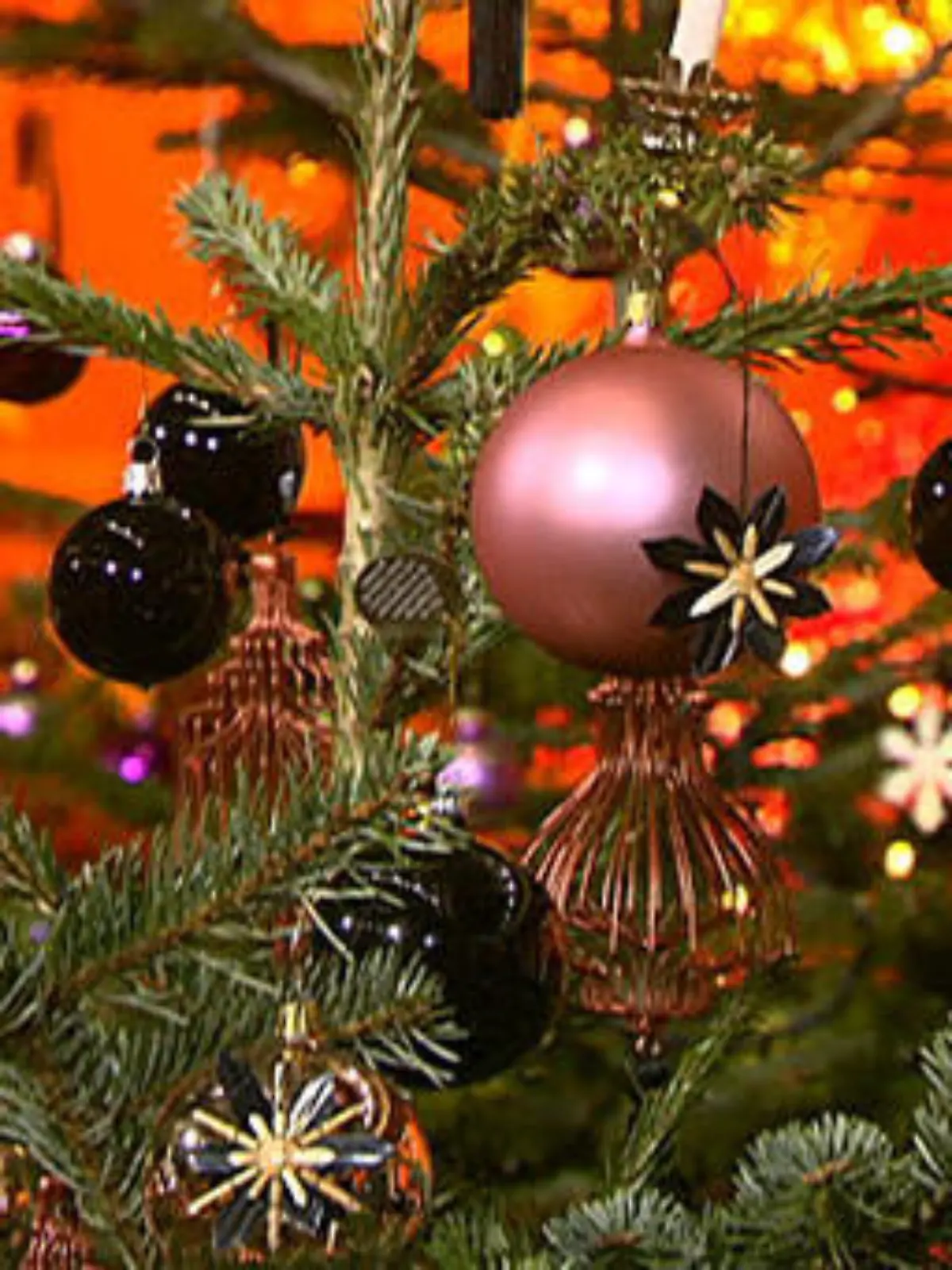 Bild zu: "Dekotipps für den Weihnachtsbaum"