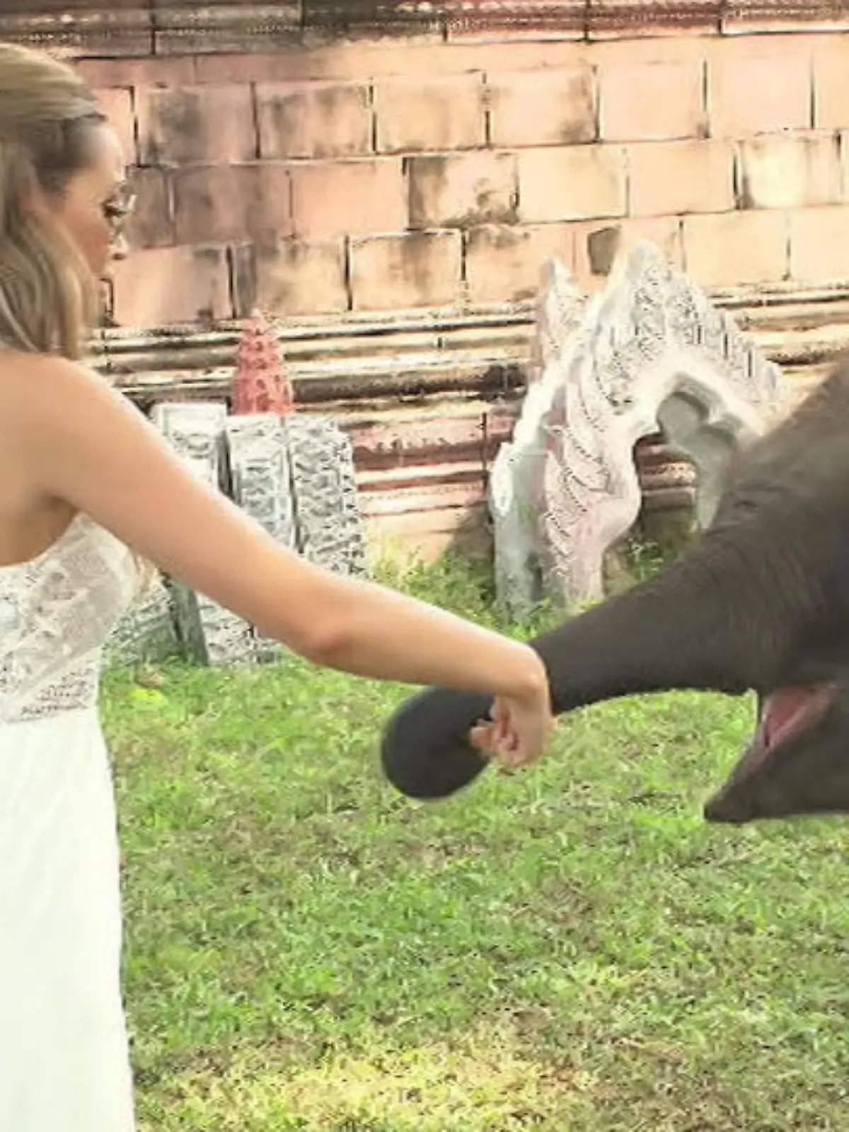 Bild zu: "Mandy Capristo erfüllt sich einen großen Traum"