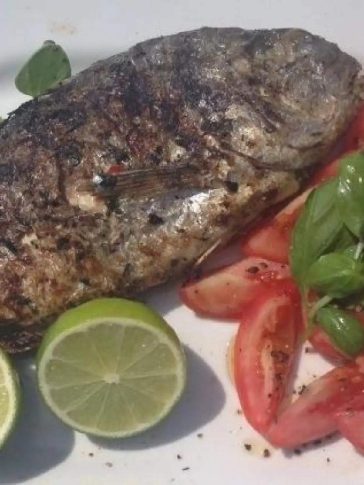Bild zu: "Das perfekte Grillfisch-Rezept"