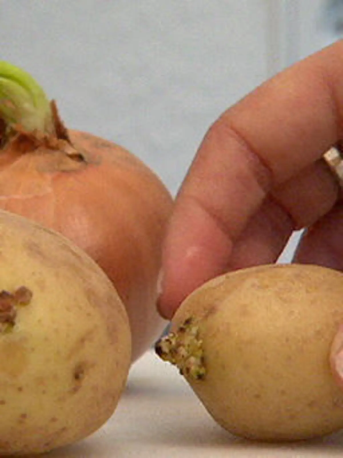 Bild zu: "Die größten Haltbarkeits-Mythen"