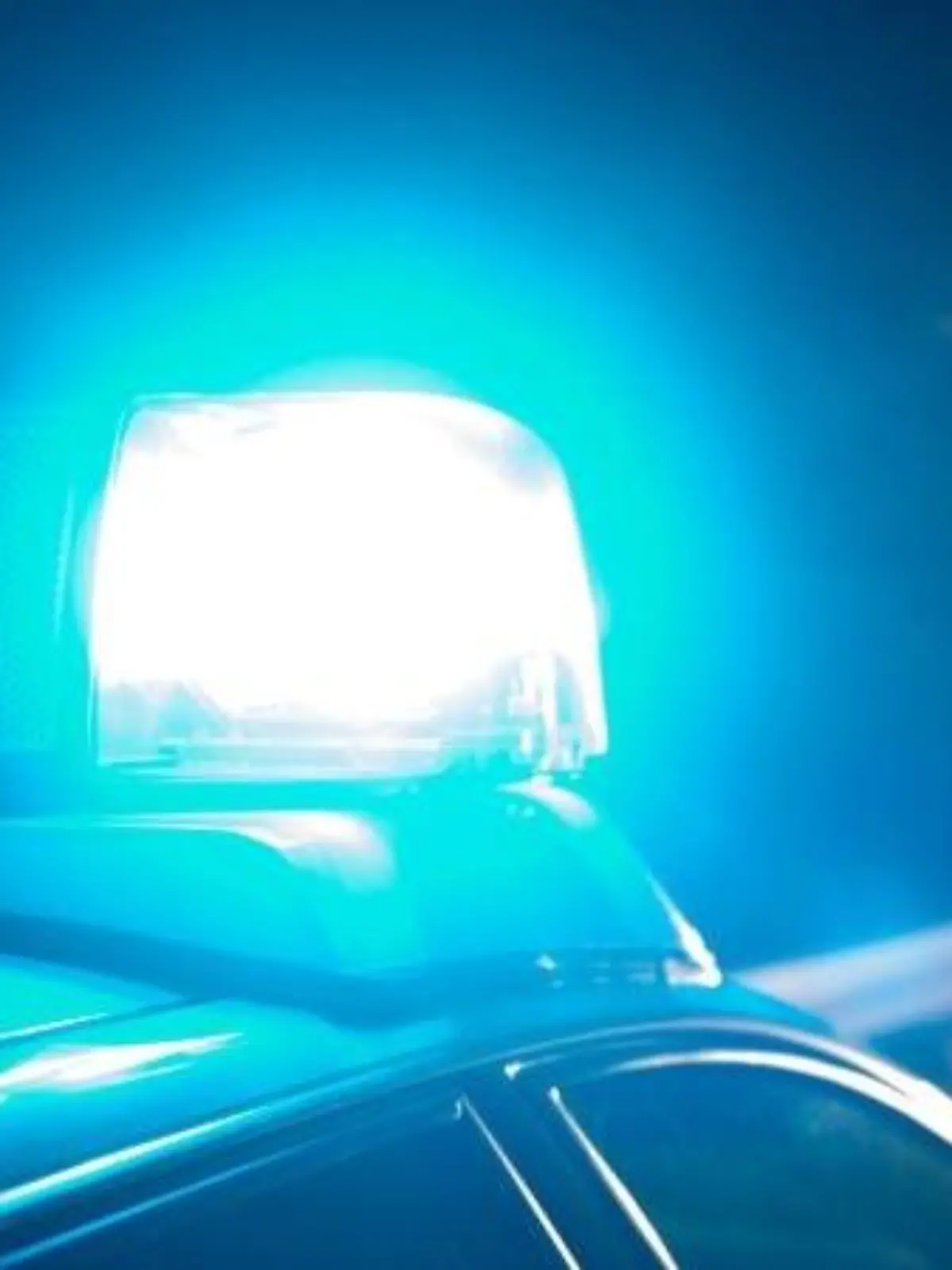 Ein Blaulicht leuchtet an einem Polizeiwagen. Foto: Armin Weigel/Archiv