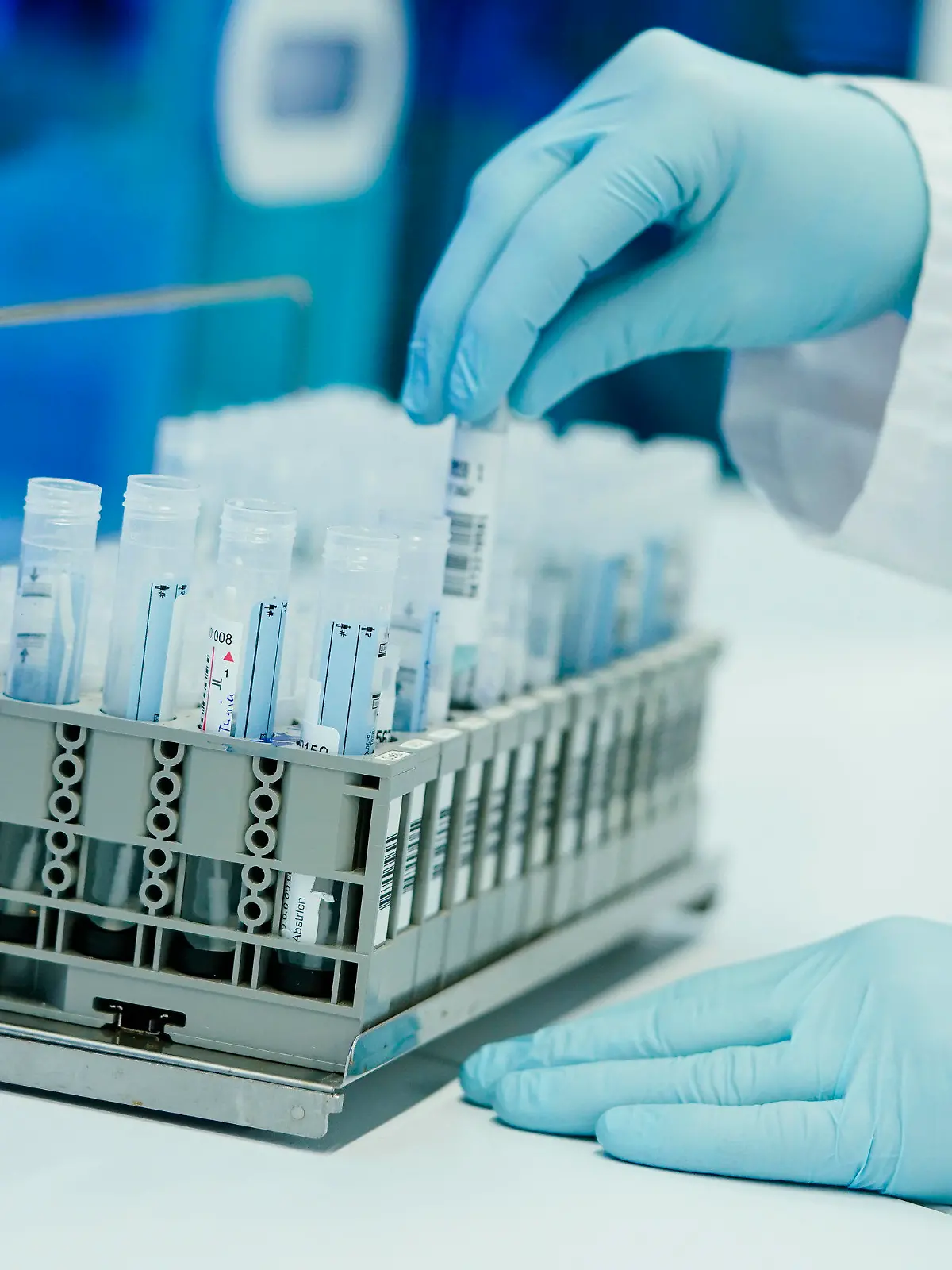 13.01.2022, Baden-Württemberg, Heidelberg: Ein Mitarbeiter hält in einem Coronatest-Labor der Limbach Gruppe PCR-Teströhrchen in den Händen. Aufgrund von steigenden Omikron-Infektionszahlen droht in den Coronatest-Laboren im Südwesten das Personal knapp zu werden. Foto: Uwe Anspach/dpa +++ dpa-Bildfunk +++