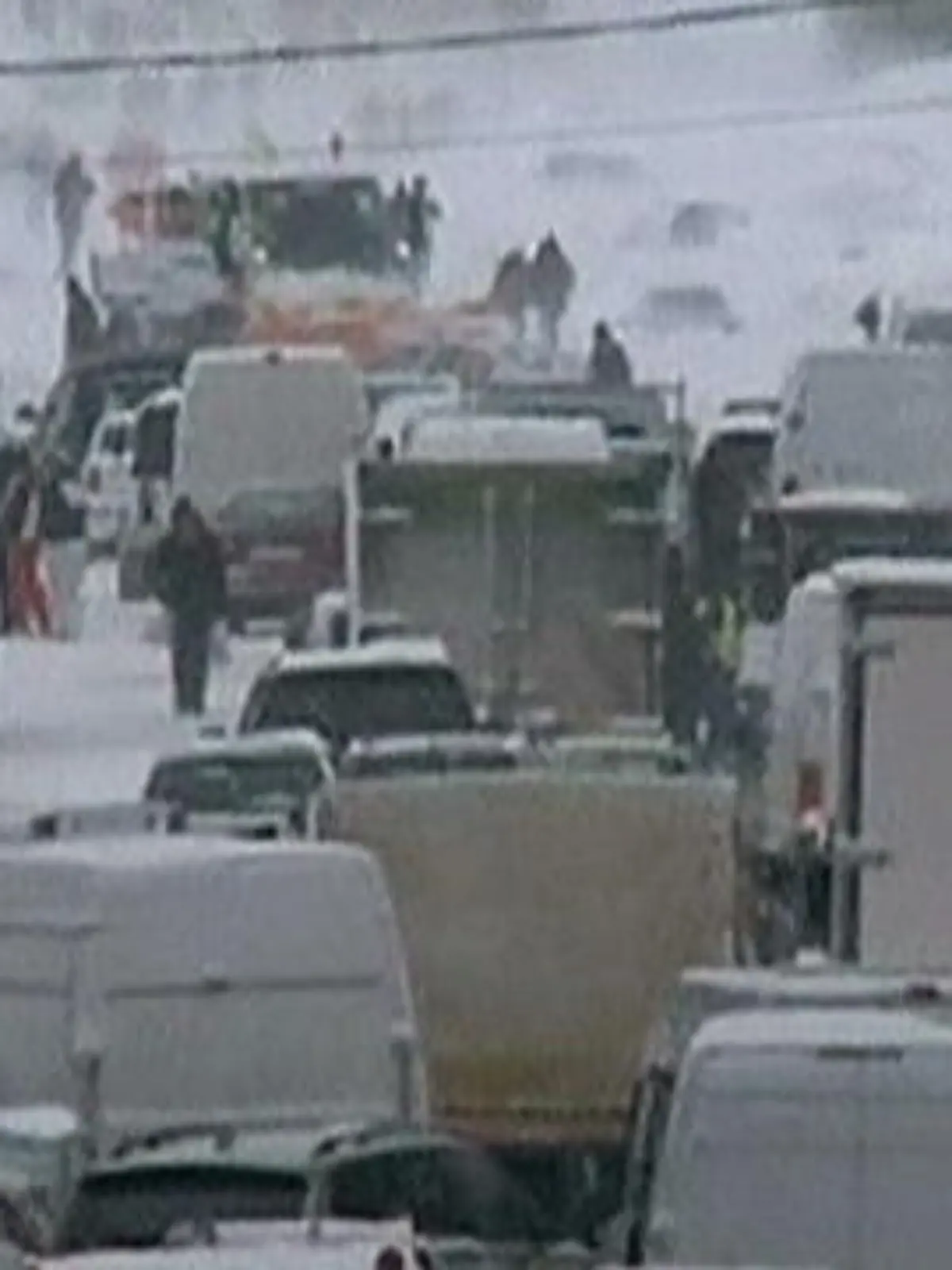 Bild zu: "Dauerfrost: Wintereinbruch im Januar 2012"