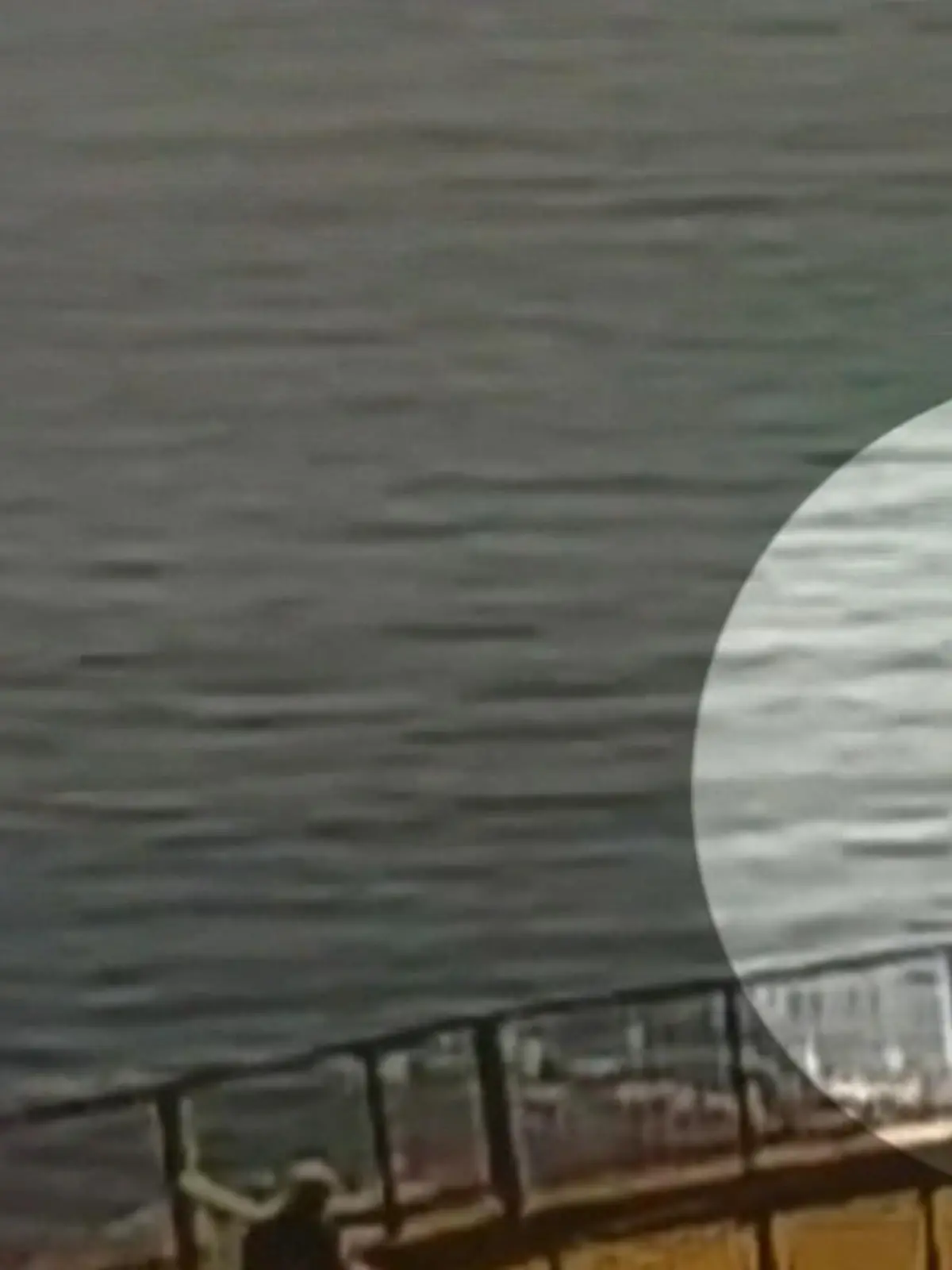 Vor der Küste Kaliforniens wurde ein Schwimmer von einem Hai attackiert. Der Mann kam schwer verletzt in ein Krankenhaus.