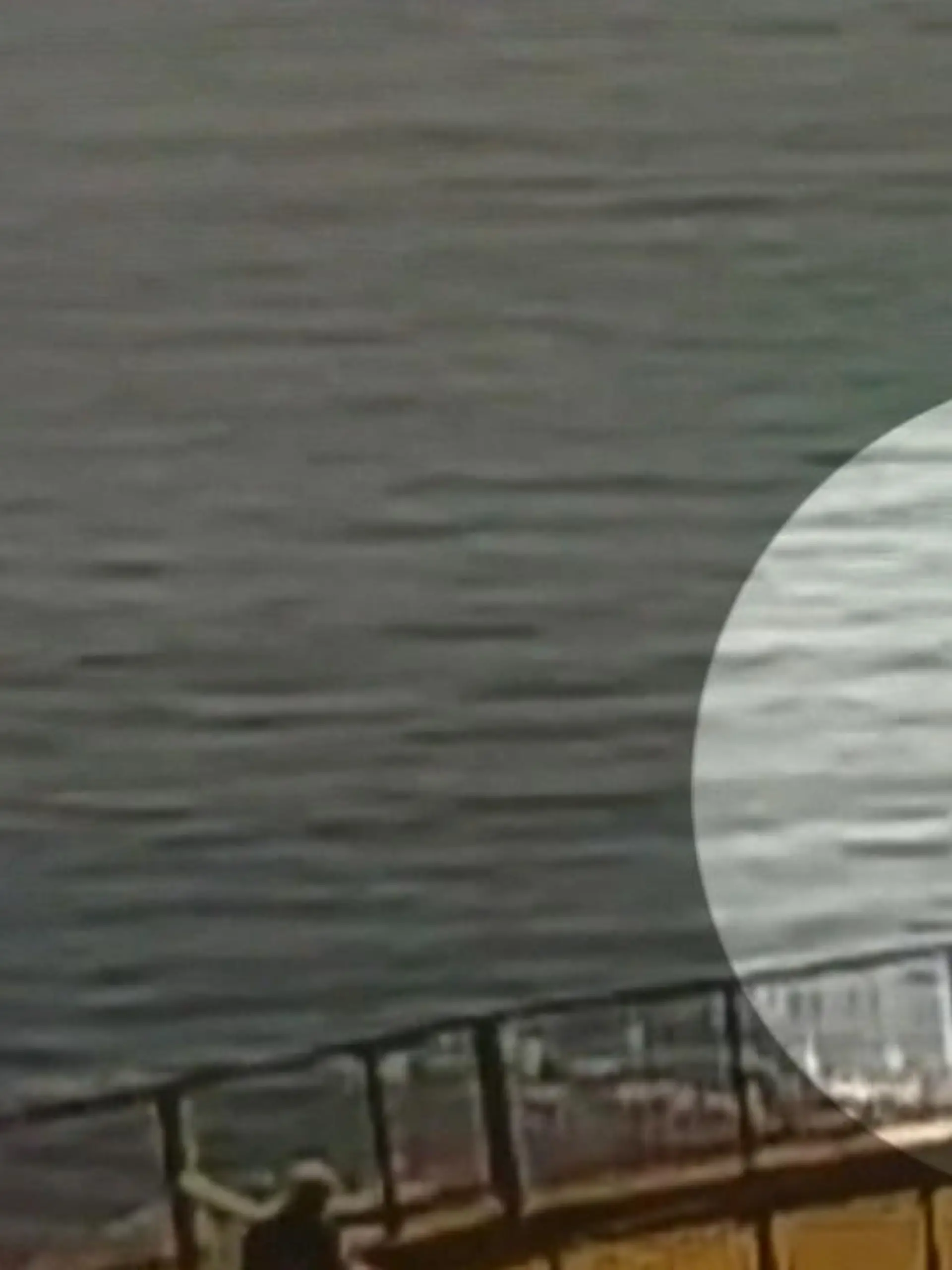 Vor der Küste Kaliforniens wurde ein Schwimmer von einem Hai attackiert. Der Mann kam schwer verletzt in ein Krankenhaus.