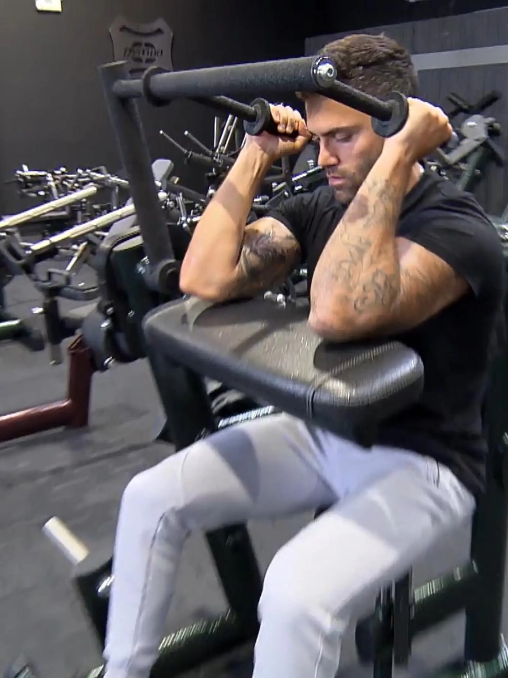 Bild zu: "Training ohne Müffeln"