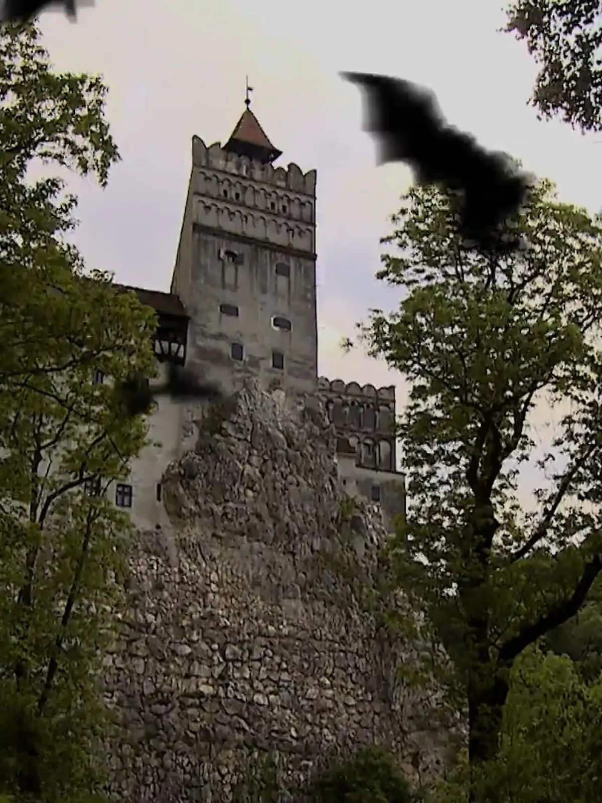 Achtung, jetzt wird es so richtig gruselig! Wir haben unsere Reporterin Romy Schiemann auf die Spuren des wohl berühmtesten Vampirs Graf Dracula geschickt. Auf Schloss Bran in Transsilvanien hat sie versucht zusammen mit professionellen Geisterjägern Kontakt Gespenstern aufzunehmen. Nur so viel: Unser Team war allem Anschein nach nicht alleine...