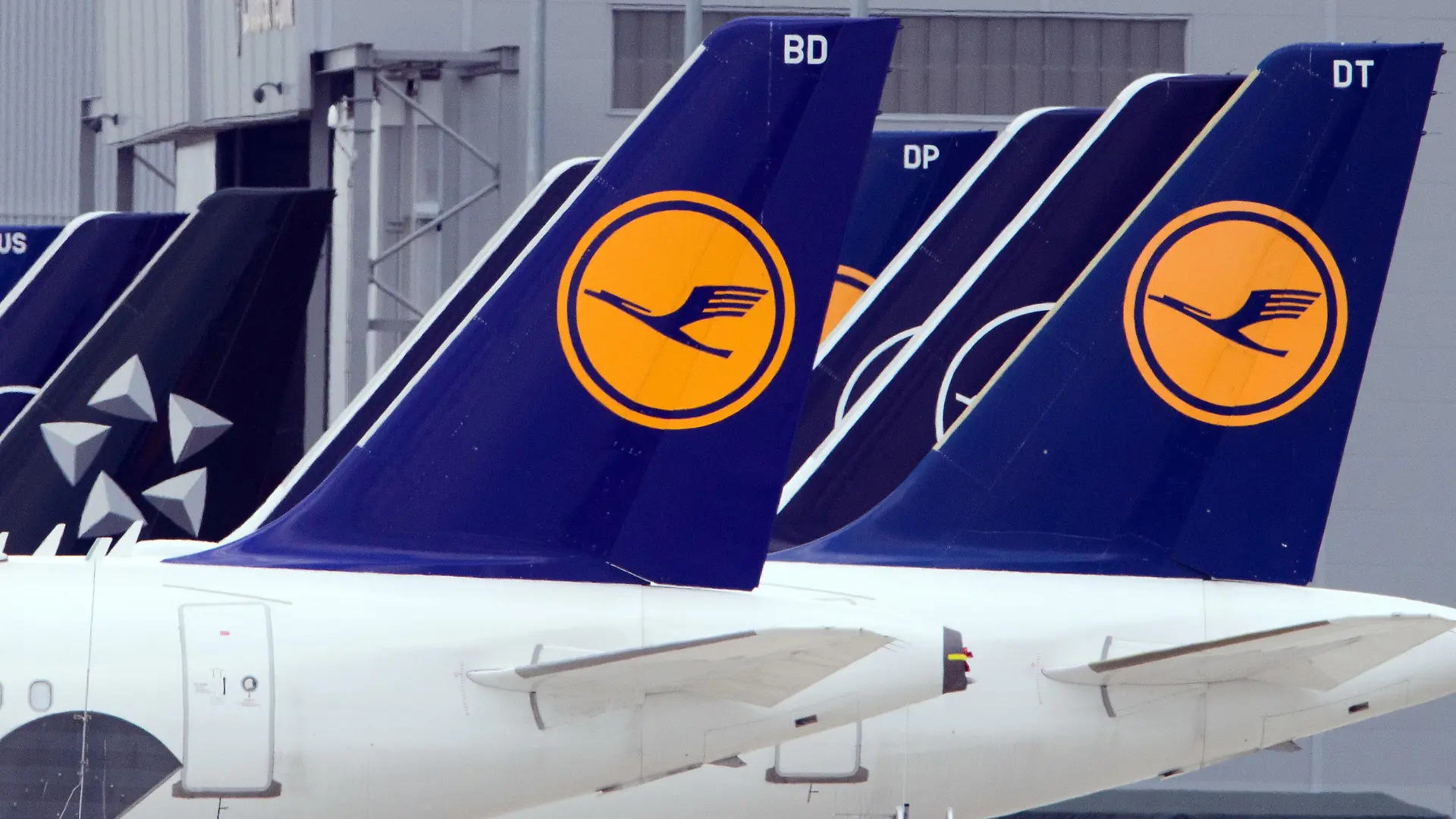 ARCHIV - 02.07.2020, Brandenburg, Schönefeld: Flugzeuge der Fluggesellschaft Lufthansa stehen am Rand des Rollfeldes nebeneinander. Die Lufthansa hat über Weihnachten ein Dutzend Fernflüge gestrichen, weil sich zu viele Piloten gleichzeitig krank gemeldet haben. (zu dpa «Zu viele Piloten krank: Lufthansa streicht Flüge über Weihnachten») Foto: Soeren Stache/dpa-Zentralbild/dpa +++ dpa-Bildfunk +++