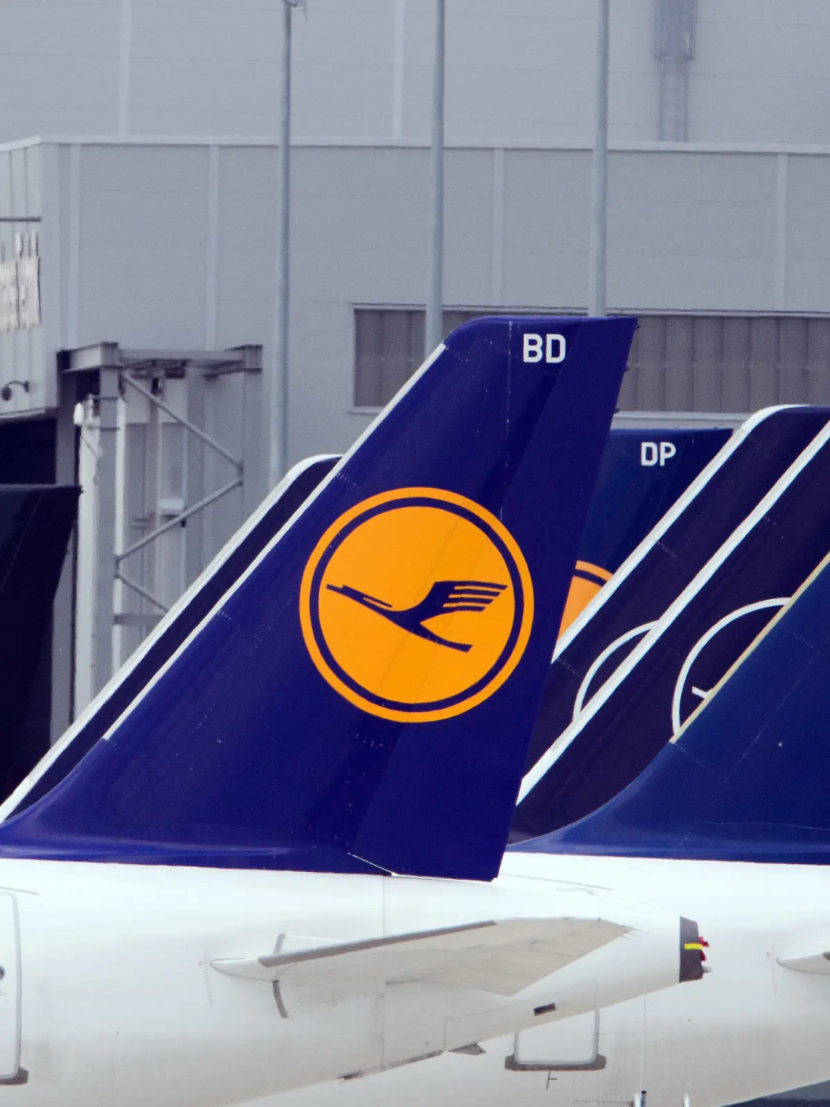 ARCHIV - 02.07.2020, Brandenburg, Schönefeld: Flugzeuge der Fluggesellschaft Lufthansa stehen am Rand des Rollfeldes nebeneinander. Die Lufthansa hat über Weihnachten ein Dutzend Fernflüge gestrichen, weil sich zu viele Piloten gleichzeitig krank gemeldet haben. (zu dpa «Zu viele Piloten krank: Lufthansa streicht Flüge über Weihnachten») Foto: Soeren Stache/dpa-Zentralbild/dpa +++ dpa-Bildfunk +++