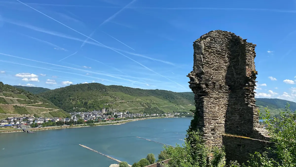 Burgruine am Rhein