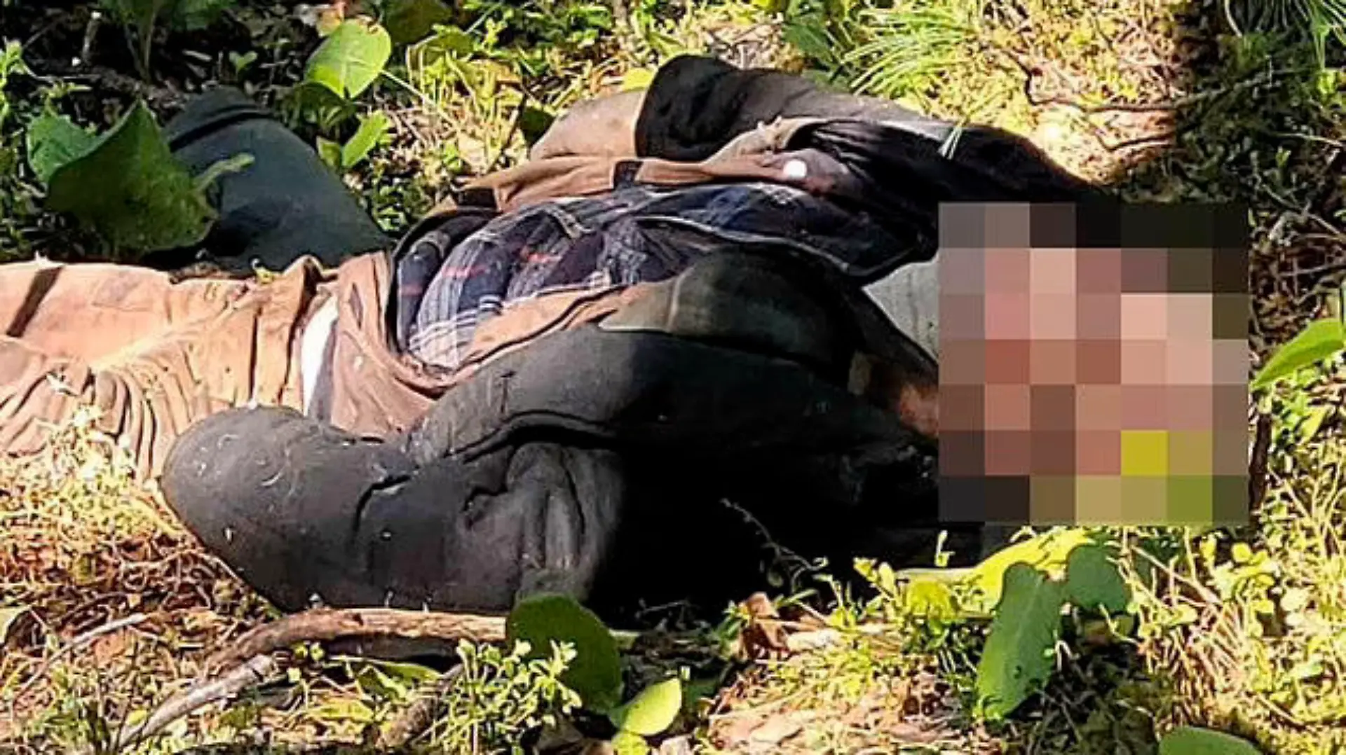 Der Braunbär schlug dem Jäger (62) den Schädel ein.