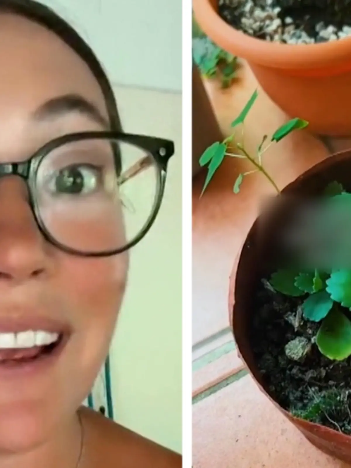 Jessica Mckasson nutzt ihren Zyklus, um ihre Gartenarbeit zu erledigen, denn sie gießt ihre Pflanzen einfach mit ihrem eigenen Menstruationsblut! Und das soll sogar gut für die Gewächse sein.