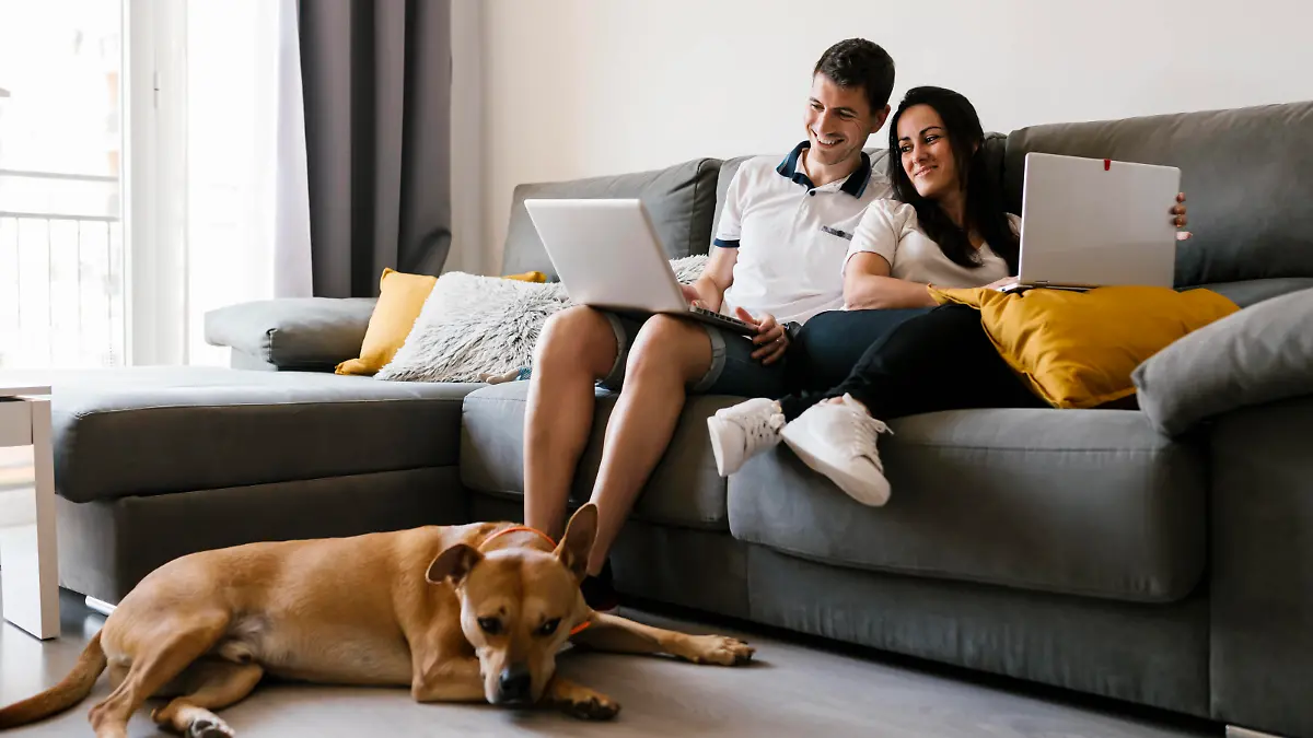  Couple using laptops on sofa near dog at home model released Symbolfoto property released EGAF00439