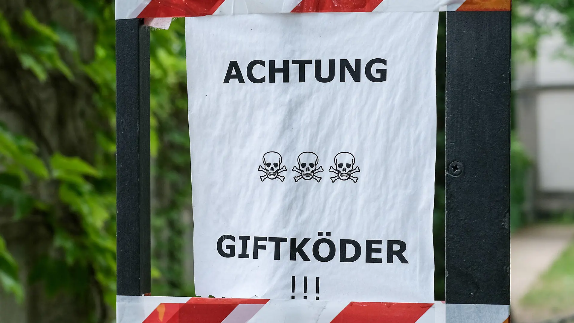 ARCHIV - 12.06.2020, Berlin: Ein Zettel mit der Aufschrift "Achtung Giftköder" ist am Eingang zum Invalidenfriedhof in Mitte angebracht. Hunde leben gefährlich. So wirkt es zumindest. Ständig hört man von vergifteten Leckerlis in Parks und auf Grünstreifen - dank sozialer Medien und Warn-Apps. (zu dpa "Gift und Rasierklingen - Mehr Attacken auf Hunde?") Foto: Jens Kalaene/dpa-Zentralbild/dpa +++ dpa-Bildfunk +++