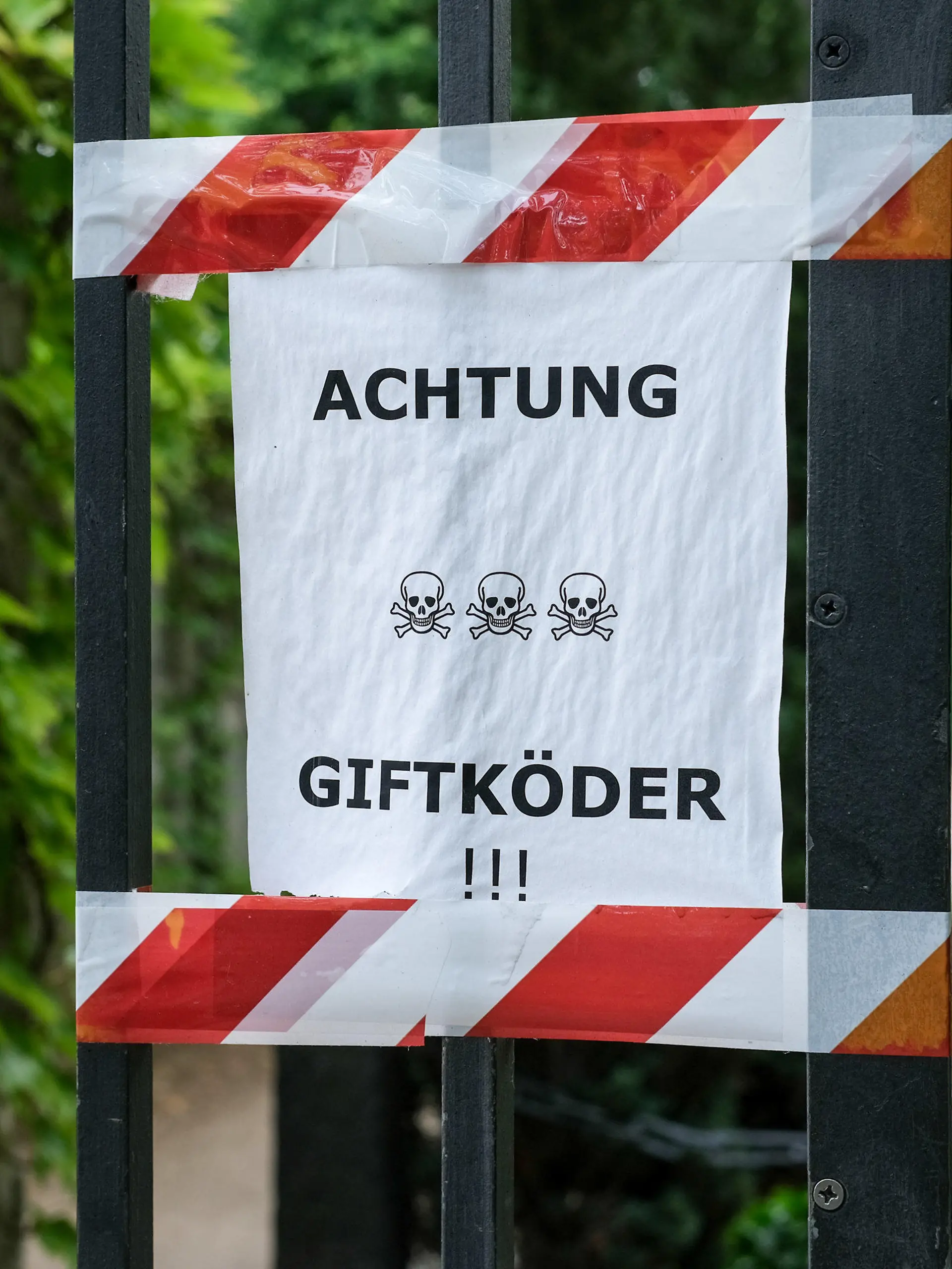 ARCHIV - 12.06.2020, Berlin: Ein Zettel mit der Aufschrift "Achtung Giftköder" ist am Eingang zum Invalidenfriedhof in Mitte angebracht. Hunde leben gefährlich. So wirkt es zumindest. Ständig hört man von vergifteten Leckerlis in Parks und auf Grünstreifen - dank sozialer Medien und Warn-Apps. (zu dpa "Gift und Rasierklingen - Mehr Attacken auf Hunde?") Foto: Jens Kalaene/dpa-Zentralbild/dpa +++ dpa-Bildfunk +++
