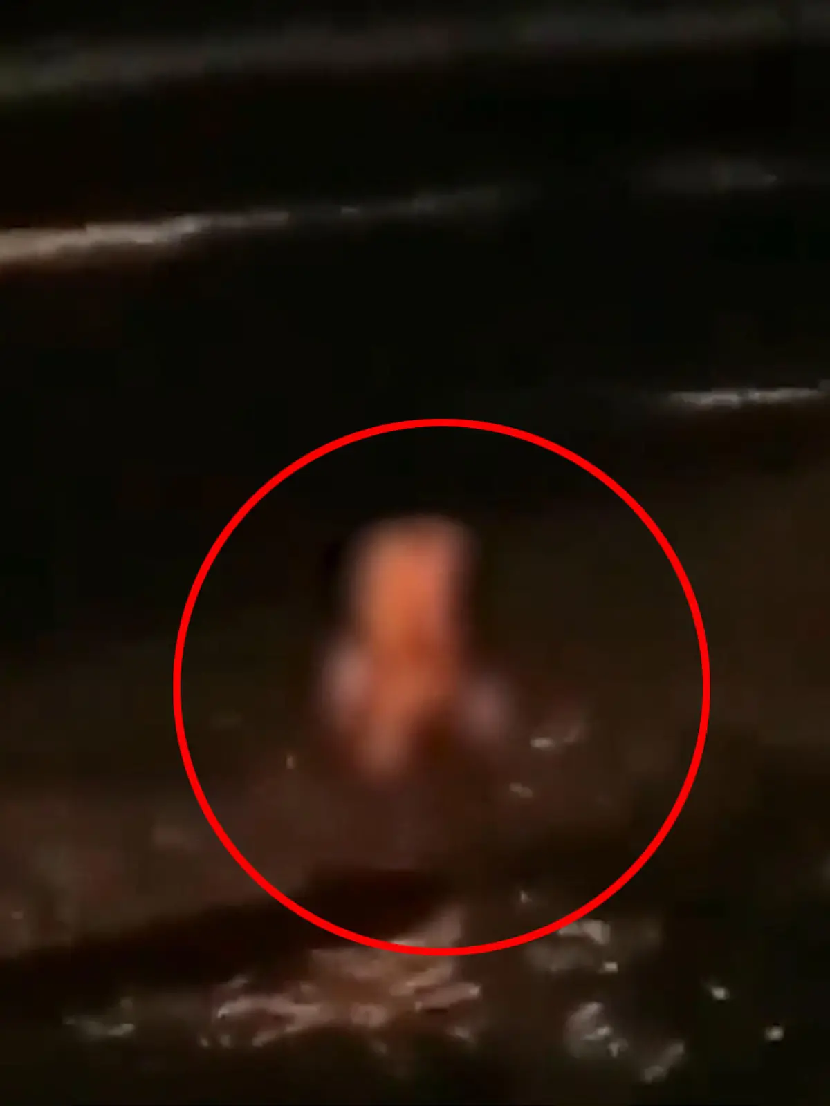 Einer DER romantischsten Orte ist vermutlich ein schöner Sandstrand bei Nacht - das haben sich auch diese beiden Liebenden gedacht, mit denen die Emotionen wohl durchgebrannt sind.