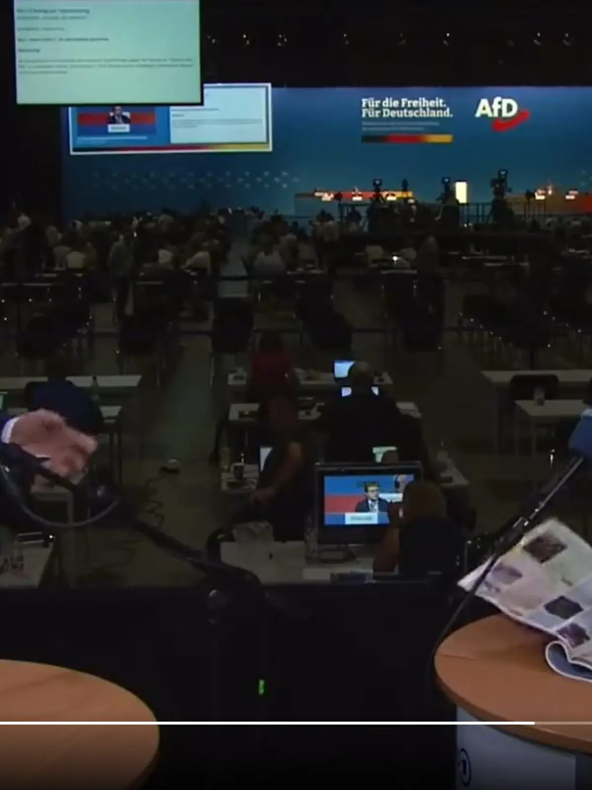 Alice Weidel redet sich im AfD-Interview um Kopf und Kragen.