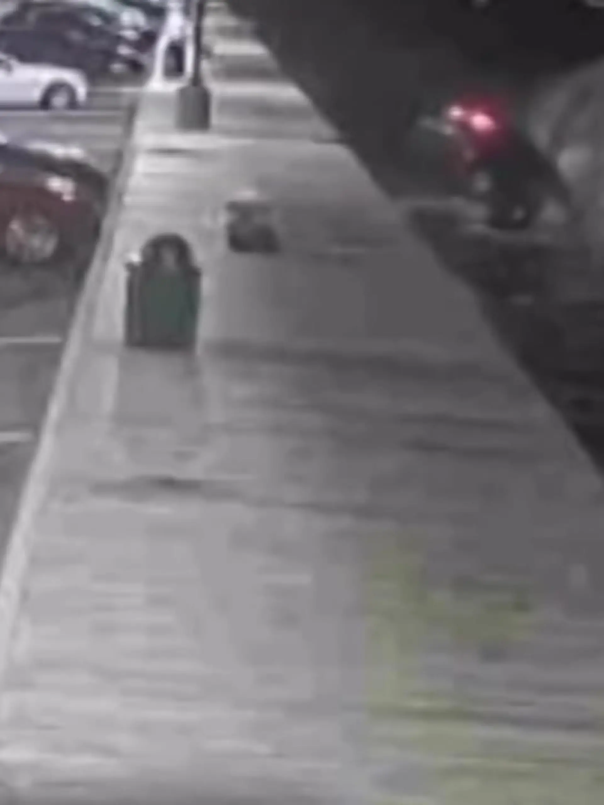 Und plötzlich fährt sie aus Versehen vorwärts! In New York ist eine 18-Jährige mit dem Auto ins Wasser gefahren. Ein Schüler sieht den Vorfall – und springt hinterher, um sie zu retten! Die mutige Rettungsaktion zeigen wir im Video.