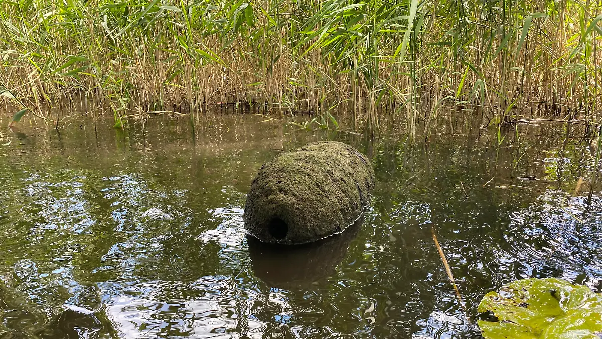 Diesen mysteriösen Gegenstand fanden die Schwimmer am Sonntag am Ruppiner See.