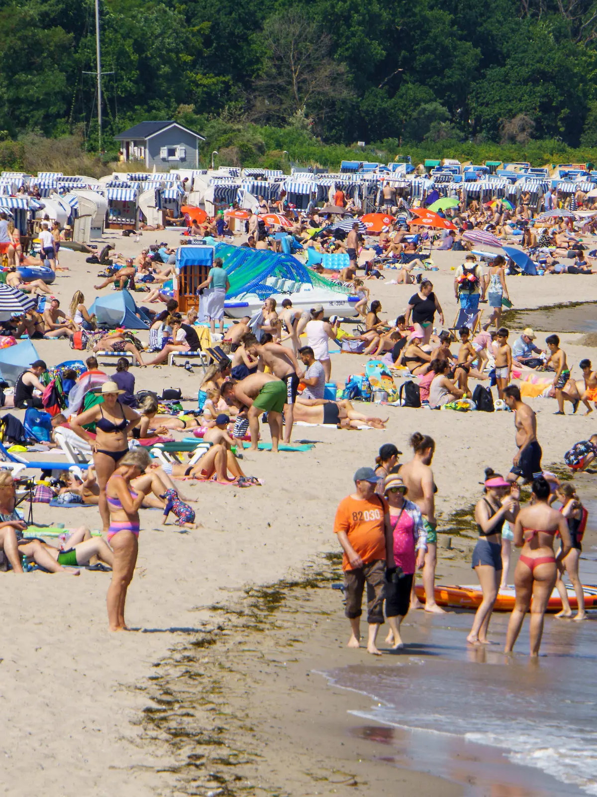  Gefüllter Strand - Hochsaison an der Ostsee im Sommer 2021 Strand an der Lübecker Bucht in Niendorf Tourismus während der Corona-Pandemie Gefüllter Strand - Hochsaison an der Ostsee im Sommer 2021 Strand an der Lübecker Bucht in Niendorf Tourismus während der Corona-Pandemie , Niendorf Schleswig-Holstein Deutschland Strand *** Filled beach high season at the Baltic Sea in summer 2021 beach at the Luebeck Bay in Niendorf tourism during the Corona Pandemic Filled beach high season at the Baltic Sea in summer 2021 beach at the Luebeck Bay in Niendorf tourism during the Corona Pandemic , Niendorf Schleswig Holstein Germany Beach