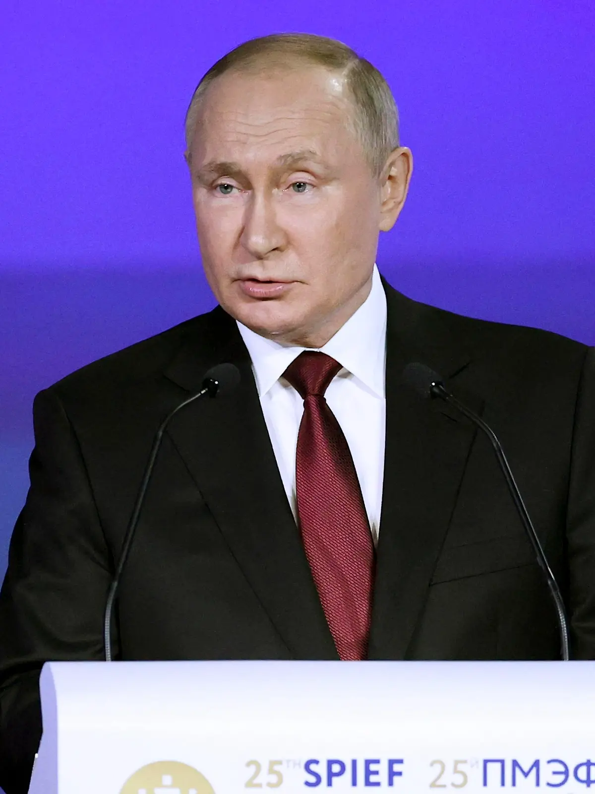 Russian President Vladimir Putin addresses a plenary session of the St. Petersburg International Economic Forum in St.Petersburg, Russia, Friday, June 17, 2022. (Sergei Bobylev/TASS Host Photo Agency Pool via AP)
