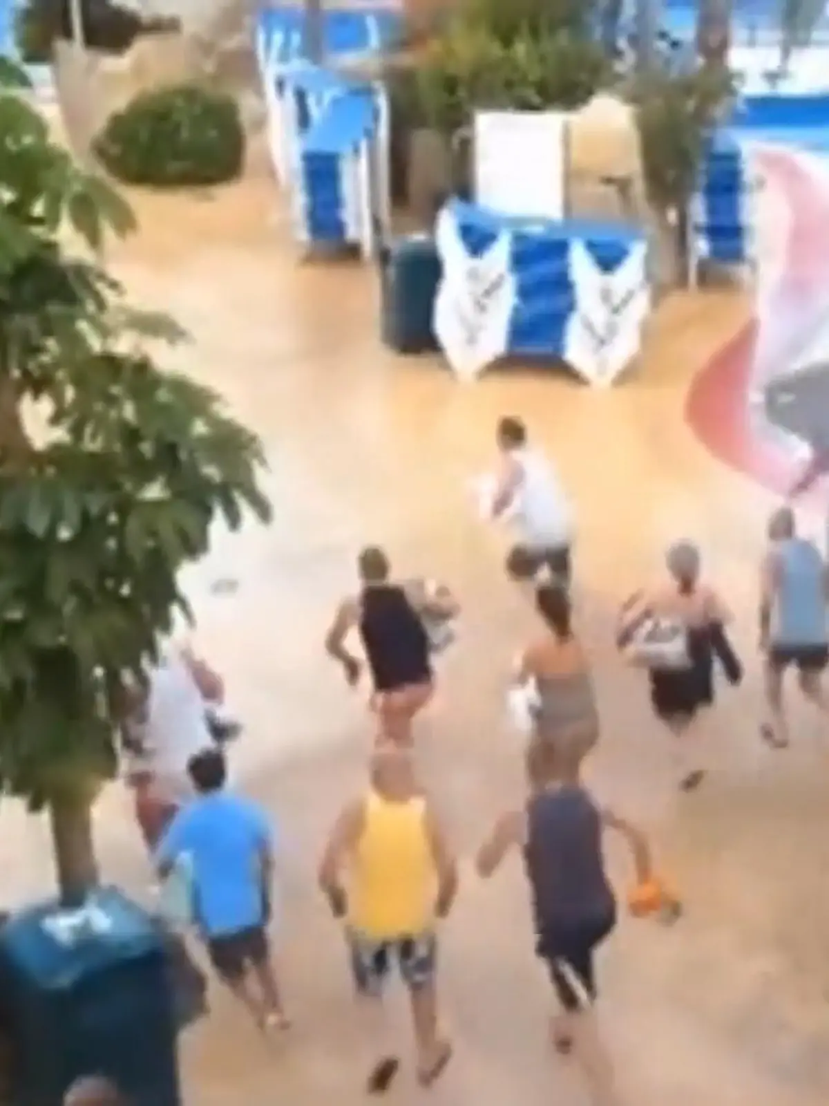 Die Urlaubszeit ist da. Und das heißt auch: der Kampf um die beste Liege am Hotel-Pool. Dieses Video soll tatsächlich in einem Hotel auf Mallorca um 6 Uhr morgens aufgenommen worden sein…
Und dieses Video zeigt nicht etwa den Start eines Marathons… Nein auch hier geht’s darum wer sein Handtüchlein auf den schicksten Liegestuhl werfen darf. Diese beiden Herrschaften sind anscheinend schon sehr früh am Werk, und bauen dann auch gleich mal die ganze Liegelandschaft nach ihrem Geschmack um. Tja, im Urlaub ist eben oft das Motto: wer zuerst kommt mahlt zuerst!