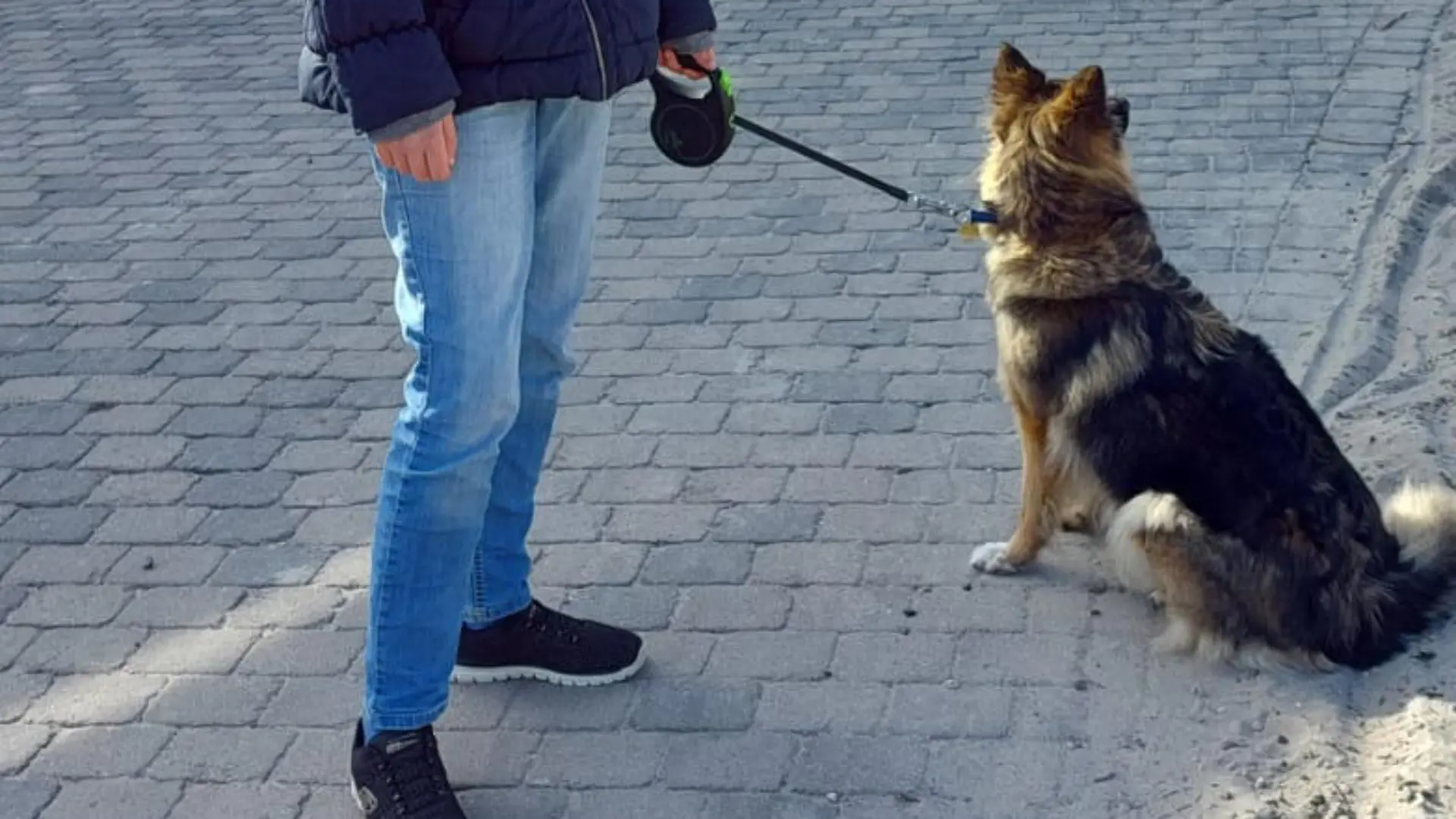 Ihr Hund wurde gefunden, die junge Frau ist verschwunden. Foto: Polizei MK