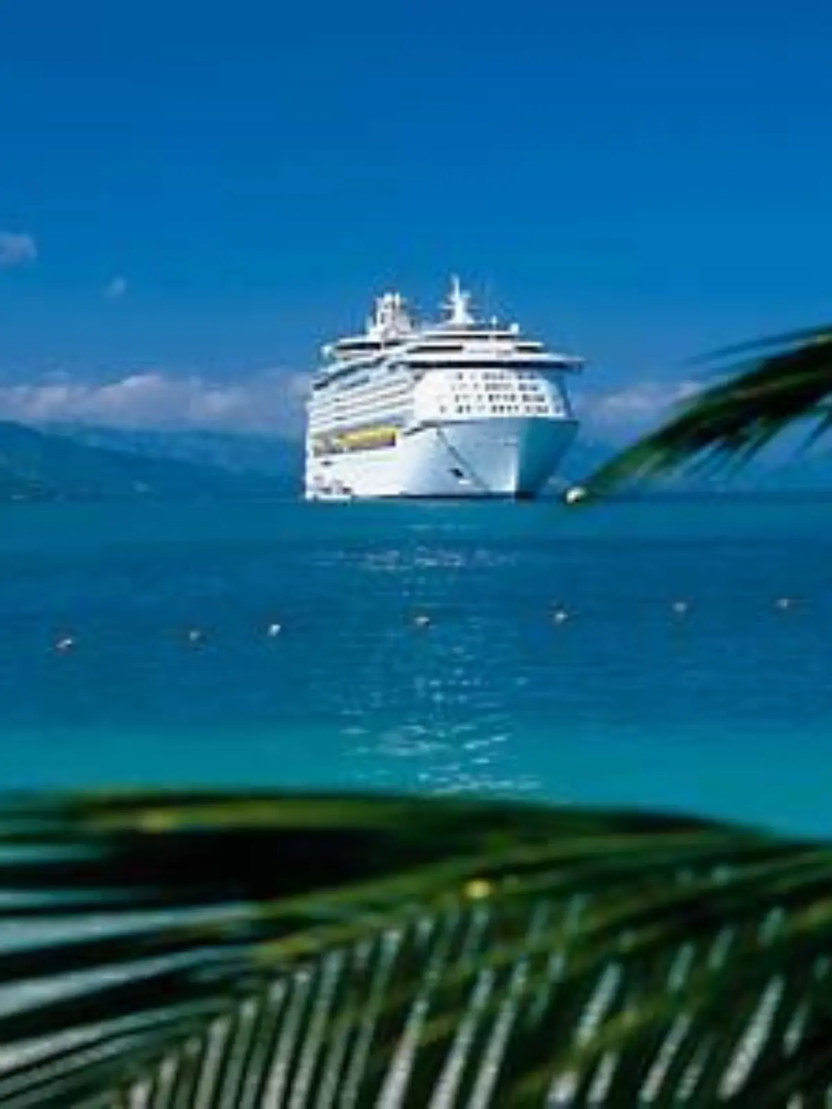 Kreuzfahrtschiff ankert in einer Bucht in der  Karibik, Palmenblaetter im Vordergrund.
