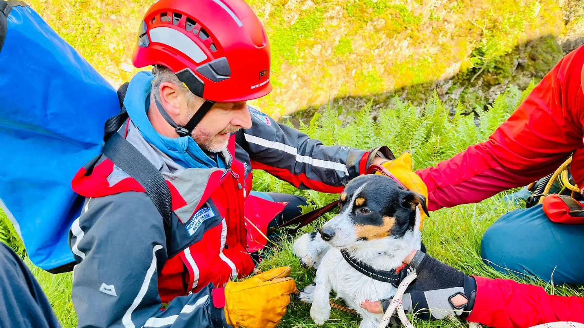 Ein Jack Russel Hund in den Armen seiner Retter. Zuvor war das Tier einen 60 Meter hohen Wasserfall hinab gestürzt.