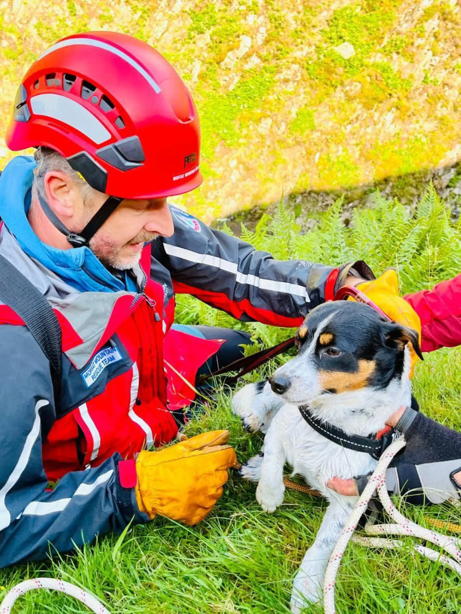 Ein Jack Russel Hund in den Armen seiner Retter. Zuvor war das Tier einen 60 Meter hohen Wasserfall hinab gestürzt.