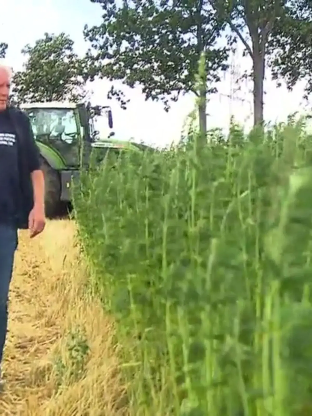 Es ist keine einfache Zeit für Hessens Landwirte: Die Produktion wird immer teurer, das Klima verändert sich und der Nachwuchs fehlt. Das alles macht vielen Bauenhöfen das Leben schwer. Uwe Roth aus Eschwege versucht sich mit Cannabis aus der Krise zu helfen. Er baut auf seinem 150 Hektar großem Grundstück nicht nur Getreide an sondern auch Nutz-Hanf!
