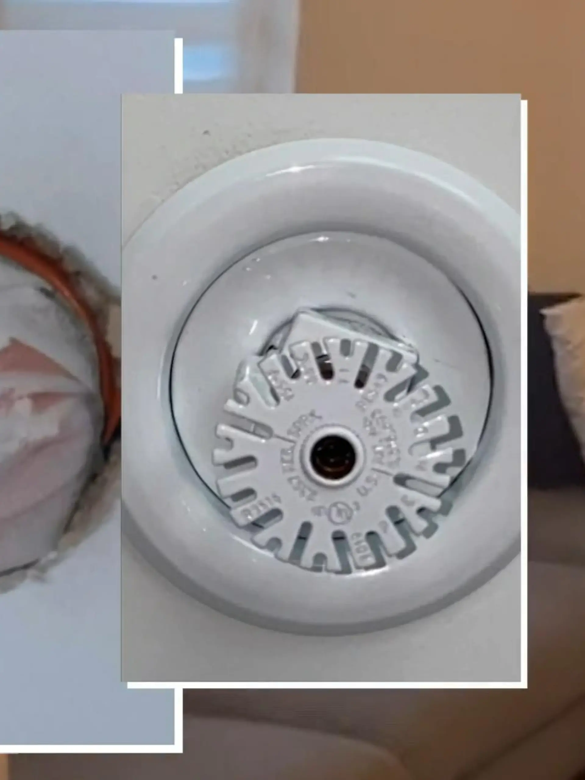 Zwei Freundinnen haben in einem Airbnb in Philadelphia zehn versteckte Kameras gefunden. Als sie in die Wohnung eincheckten, legten sie sich aufs Sofa und schliefen kurz – als sie aufwachten, sahen sie im Sprinkler an der Decke eine verborgene Linse. Ihren Horror-Fund haben die beiden auf TikTok geteilt - wir zeigen ihre Aufnahmen im Video.