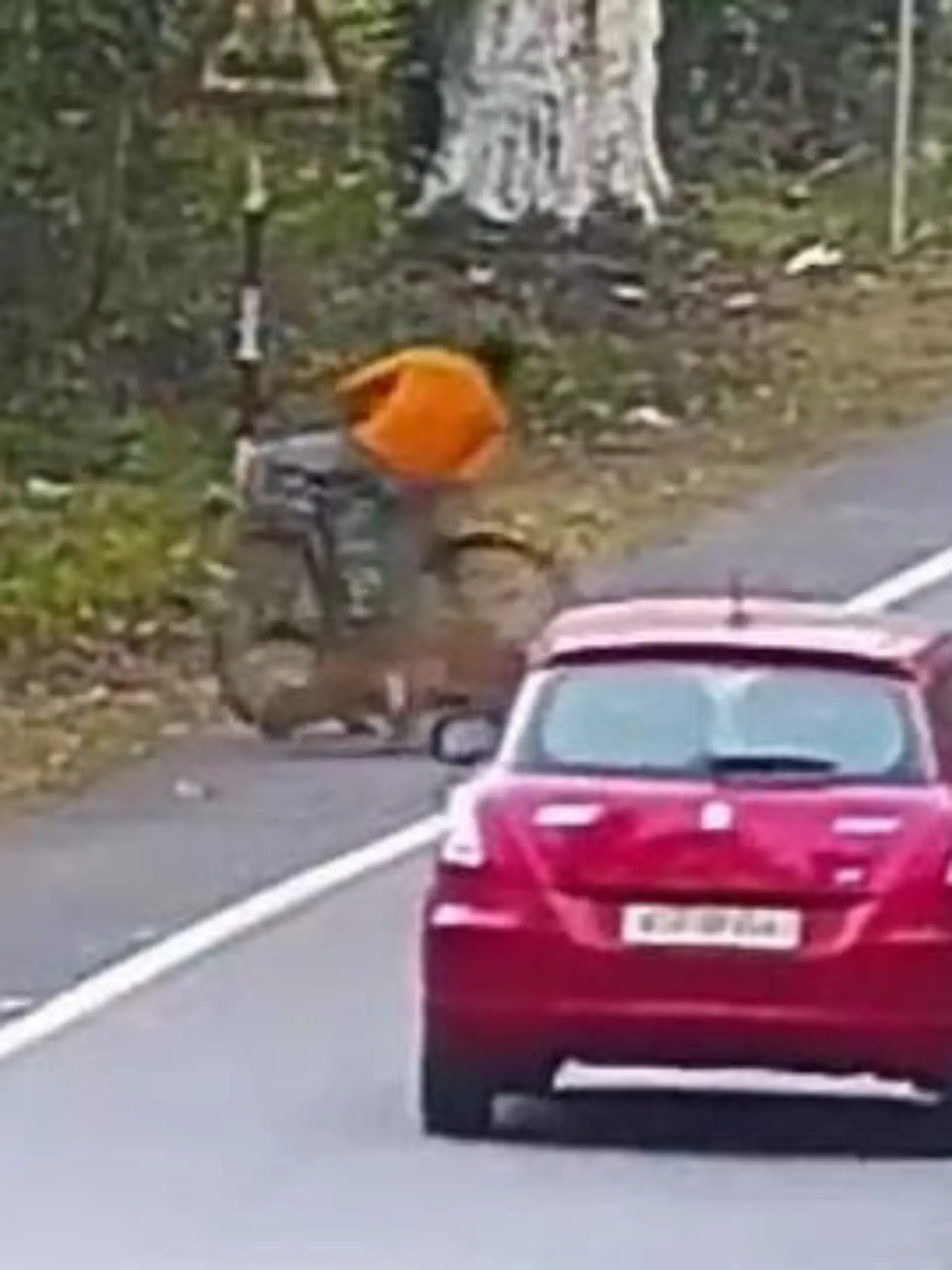 Das hätte viel schlimmer enden können. Ein Leopard hat einen fahrenden Radfahrer auf einer indischen Straße angegriffen. Die Attacke ist keine Seltenheit. Mehr dazu im Video.