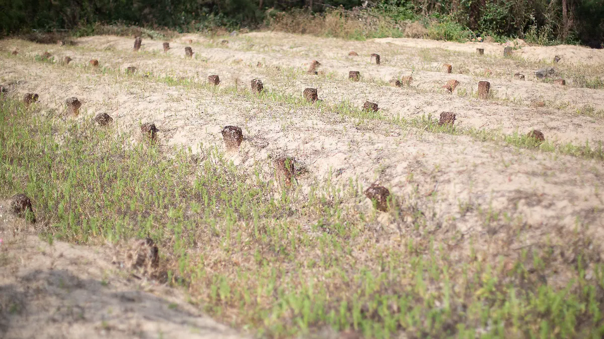 PRODUKTION - 02.03.2021, Vietnam, Tam Hai: Auf dem Walfriedhof von Tam Hai sind Dutzende von Walen und anderen Meeressäugern begraben .  (zu dpa: «Schutz aus den Tiefen des Ozeans: Die Wal-Götter von Vietnam») Foto: Chris Humphrey/-/dpa +++ dpa-Bildfunk +++